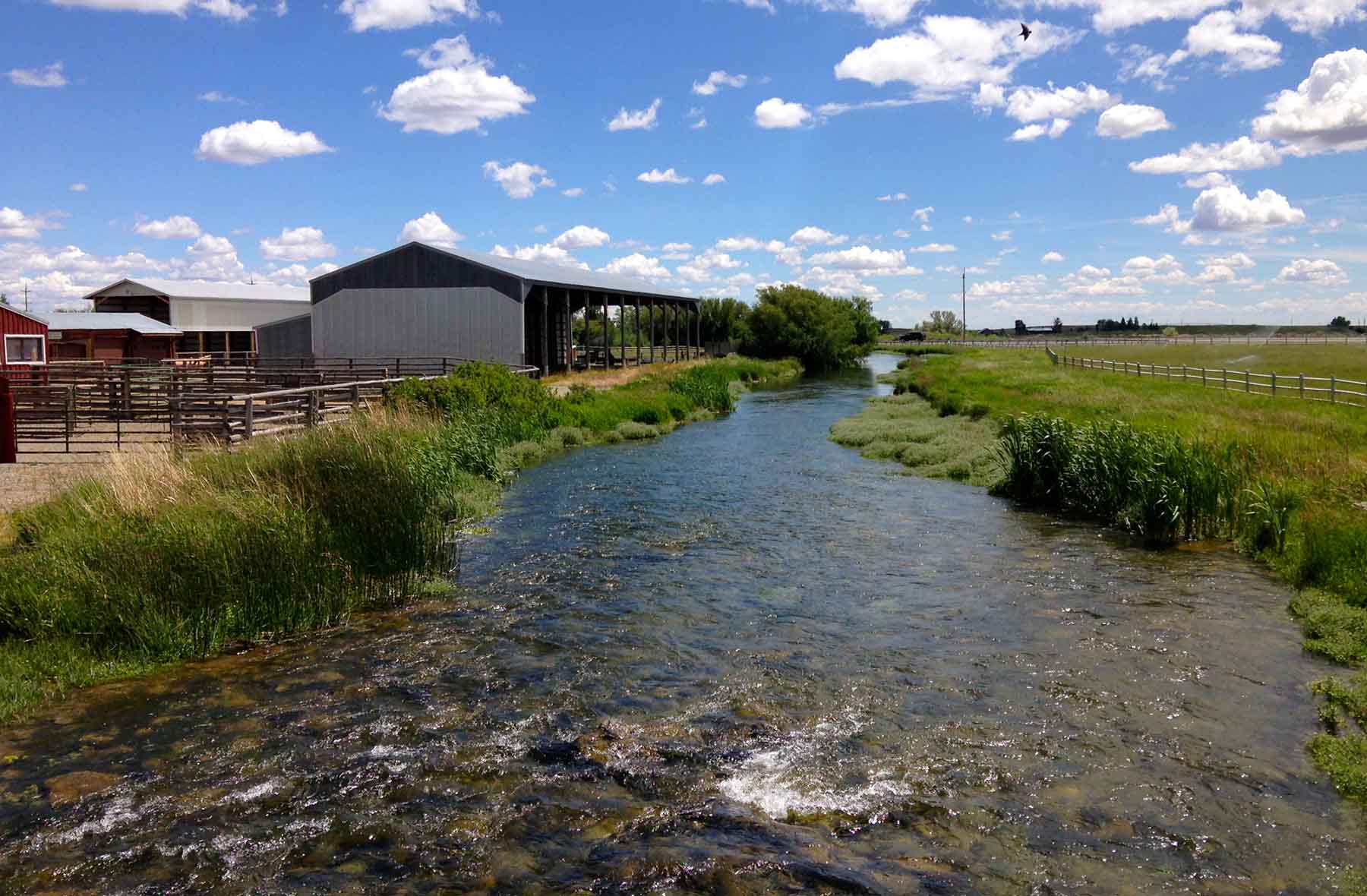 Susie Q Ranch property picture 35 of 83