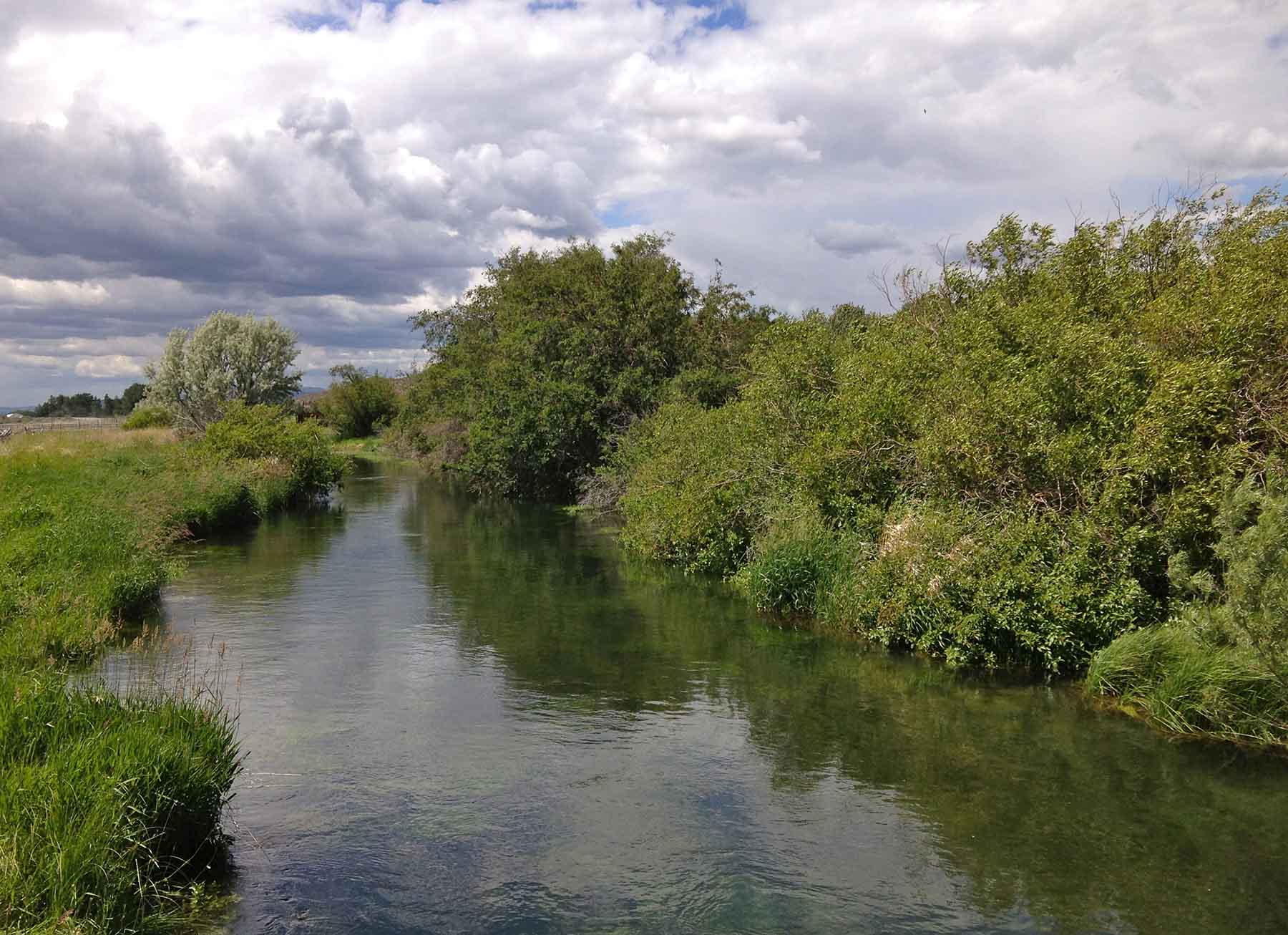 Susie Q Ranch property picture 37 of 83