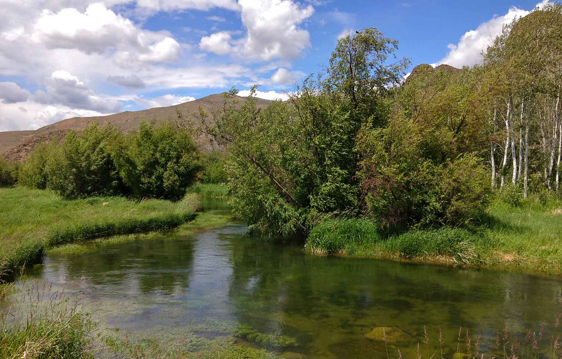 Susie Q Ranch property picture 38 of 83