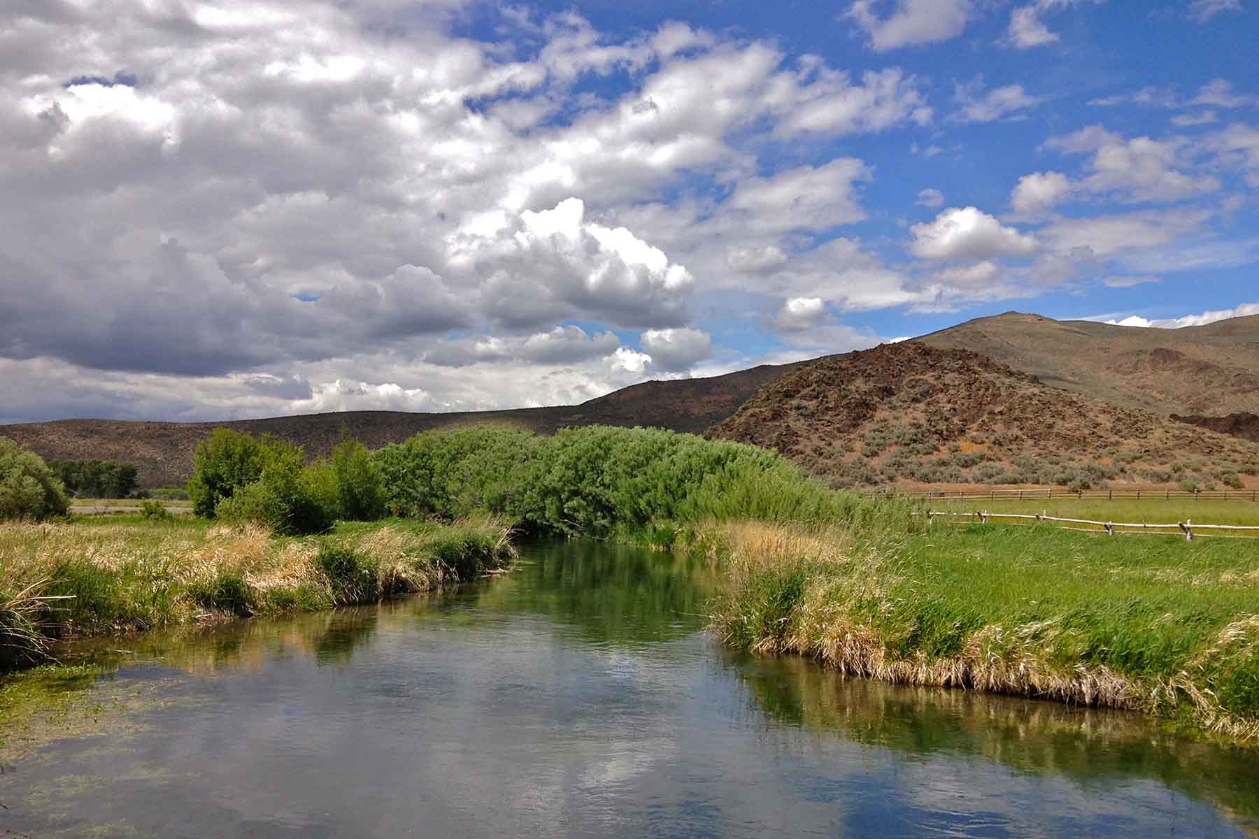 Susie Q Ranch property picture 40 of 83