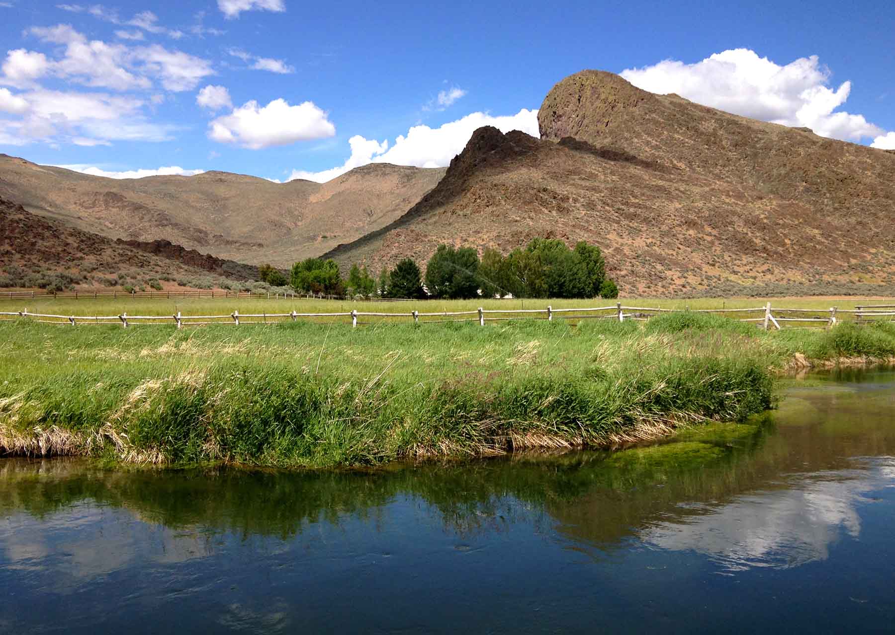 Susie Q Ranch property picture 41 of 83