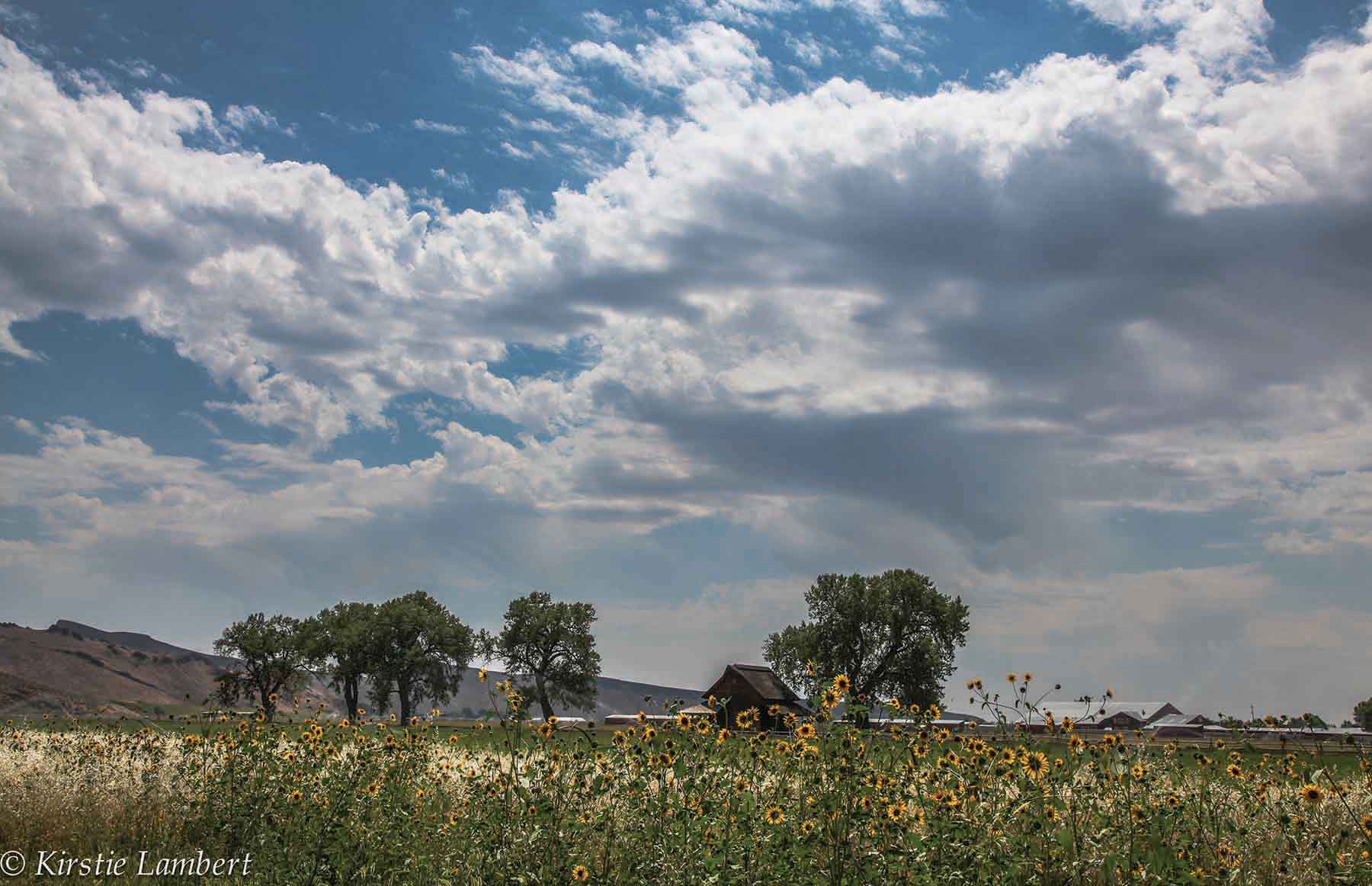 Susie Q Ranch property picture 46 of 83