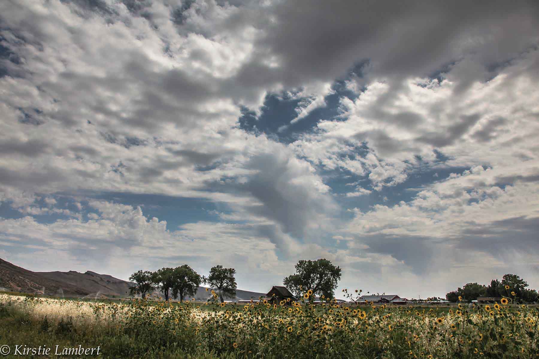 Susie Q Ranch property picture 52 of 83
