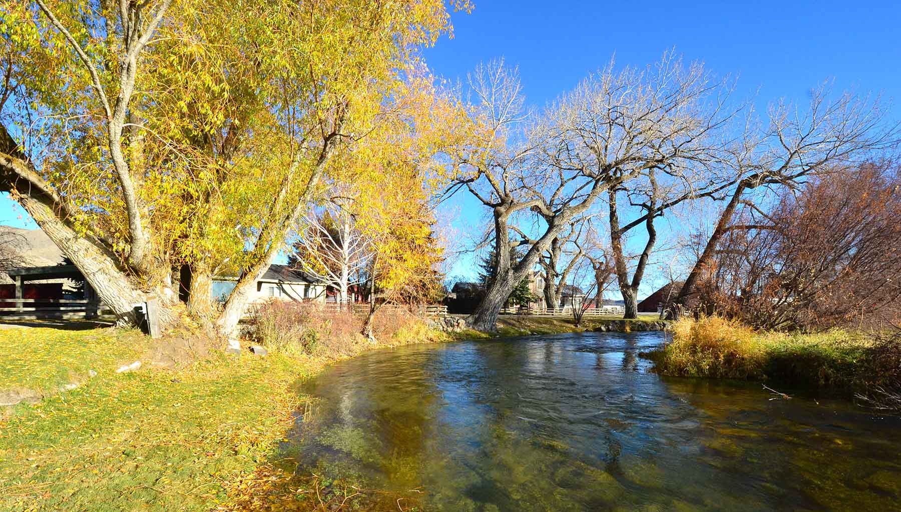 Susie Q Ranch property picture 61 of 83