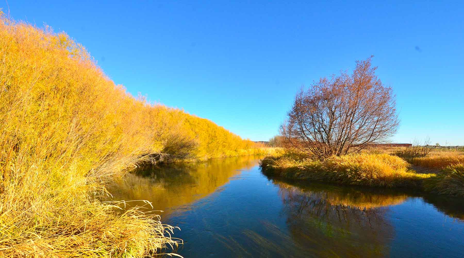Susie Q Ranch property picture 62 of 83