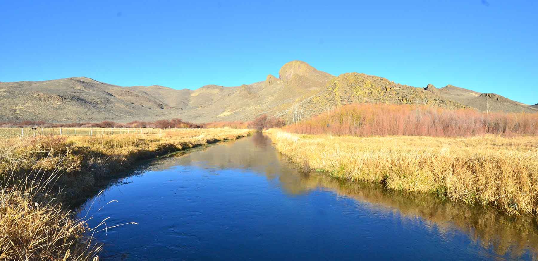 Susie Q Ranch property picture 63 of 83