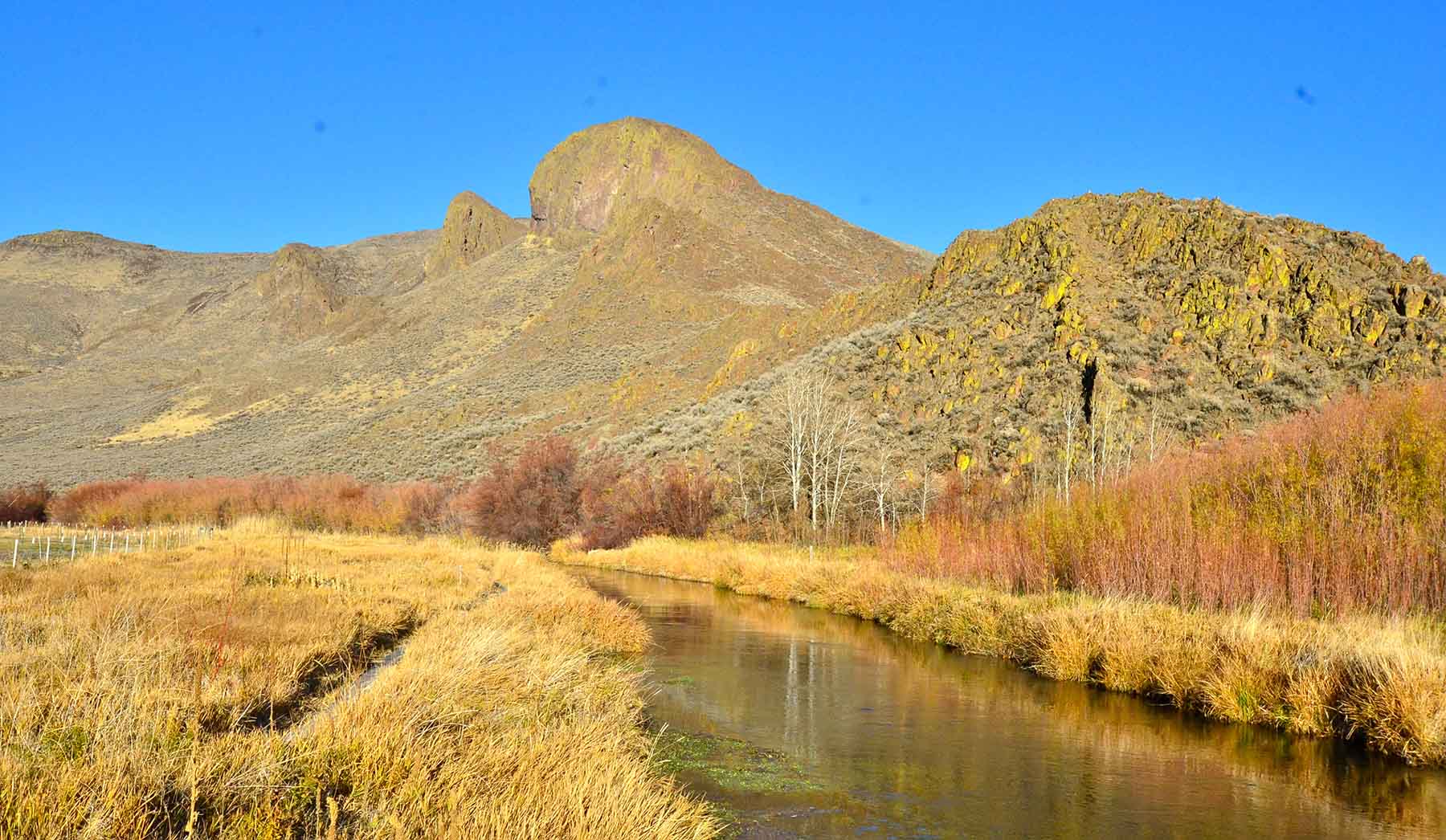 Susie Q Ranch property picture 64 of 83