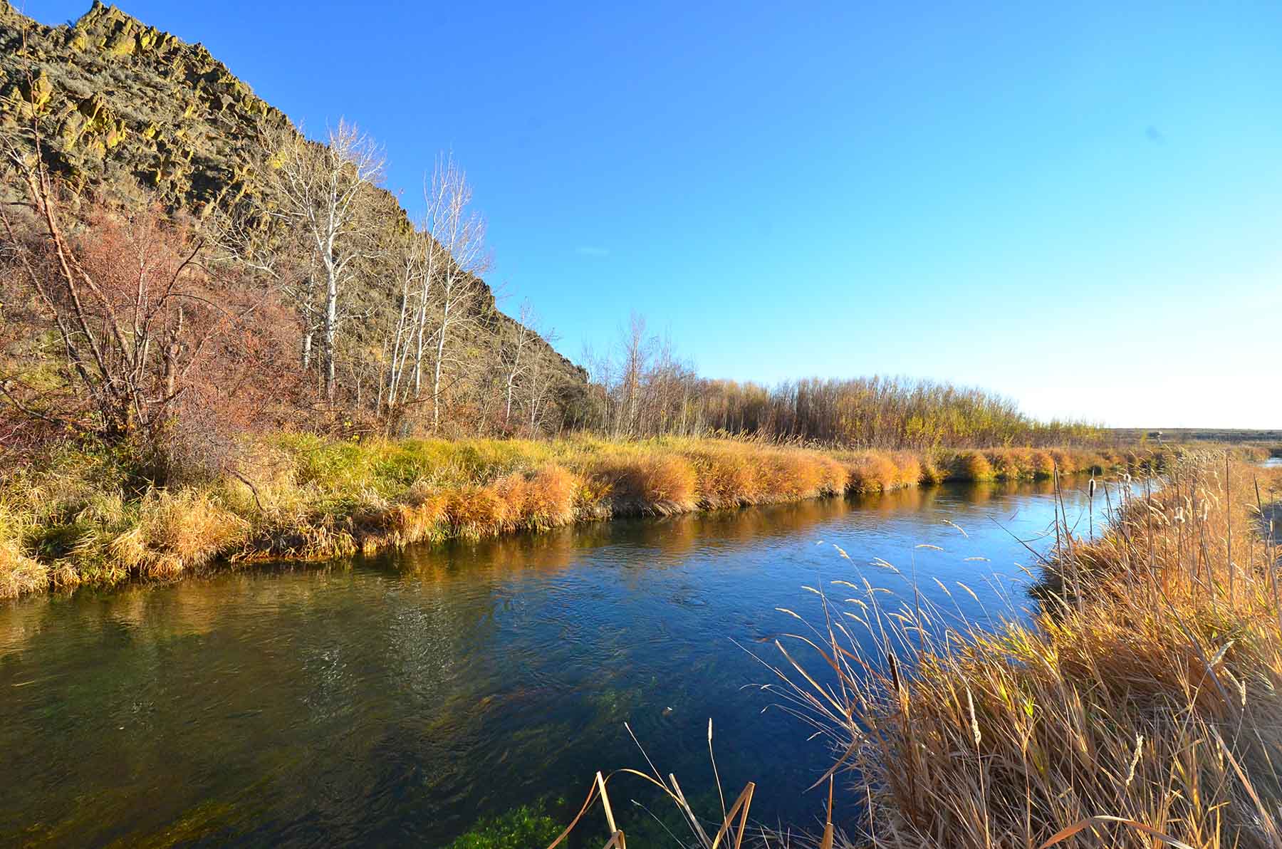 Susie Q Ranch property picture 65 of 83