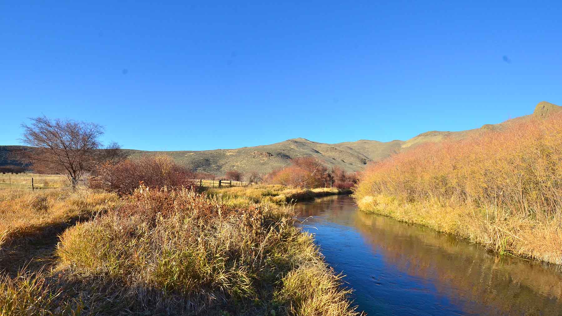 Susie Q Ranch property picture 66 of 83