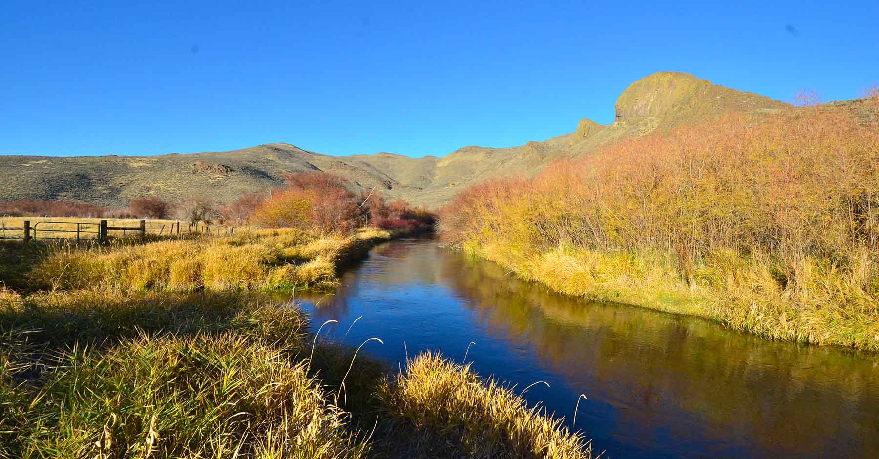 Susie Q Ranch property picture 67 of 83