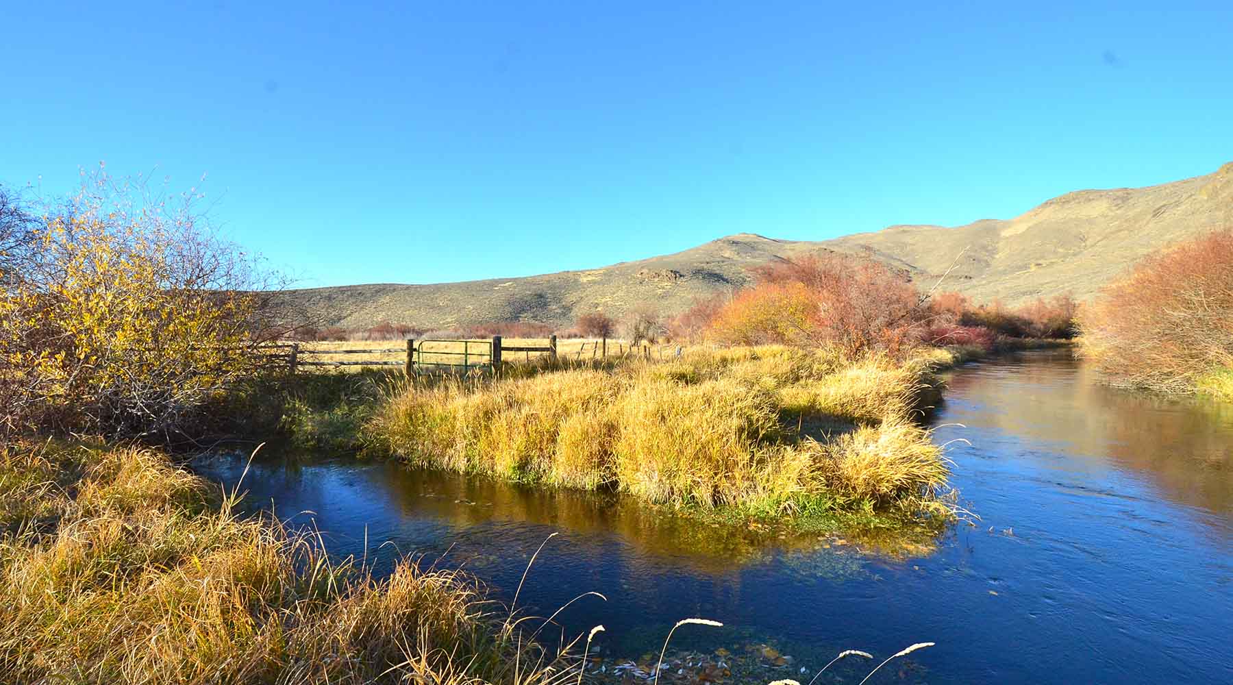Susie Q Ranch property picture 68 of 83