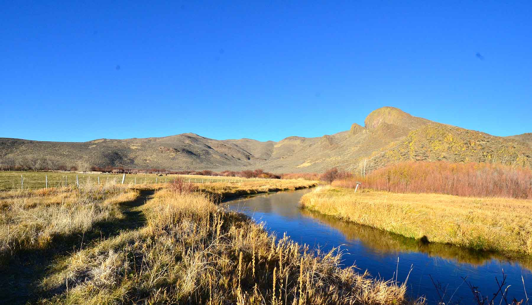 Susie Q Ranch property picture 69 of 83