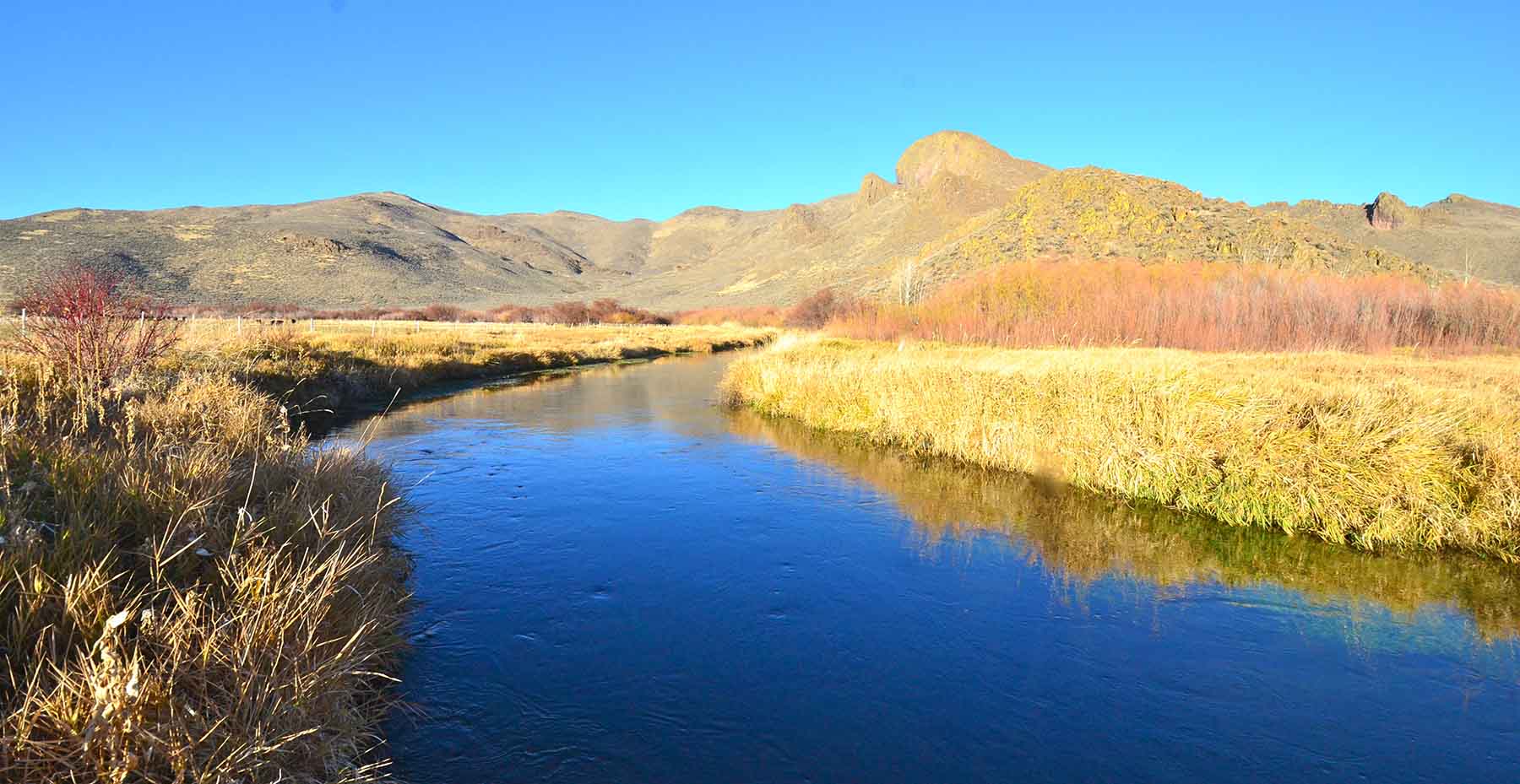 Susie Q Ranch property picture 70 of 83