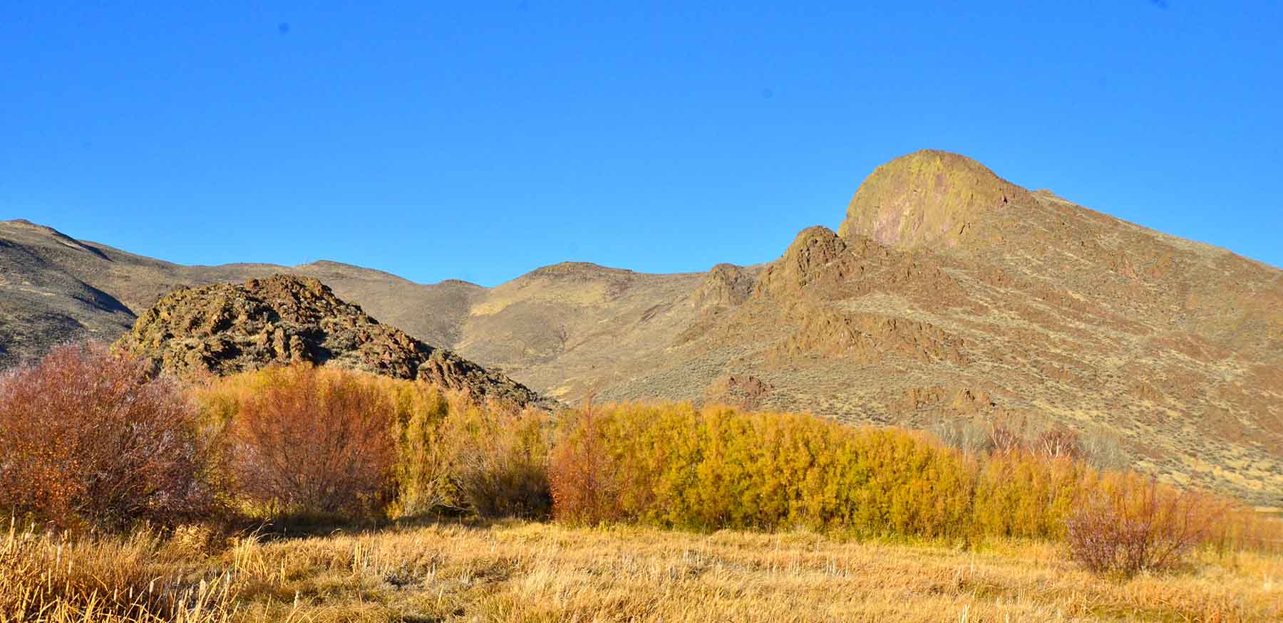 Susie Q Ranch property picture 72 of 83