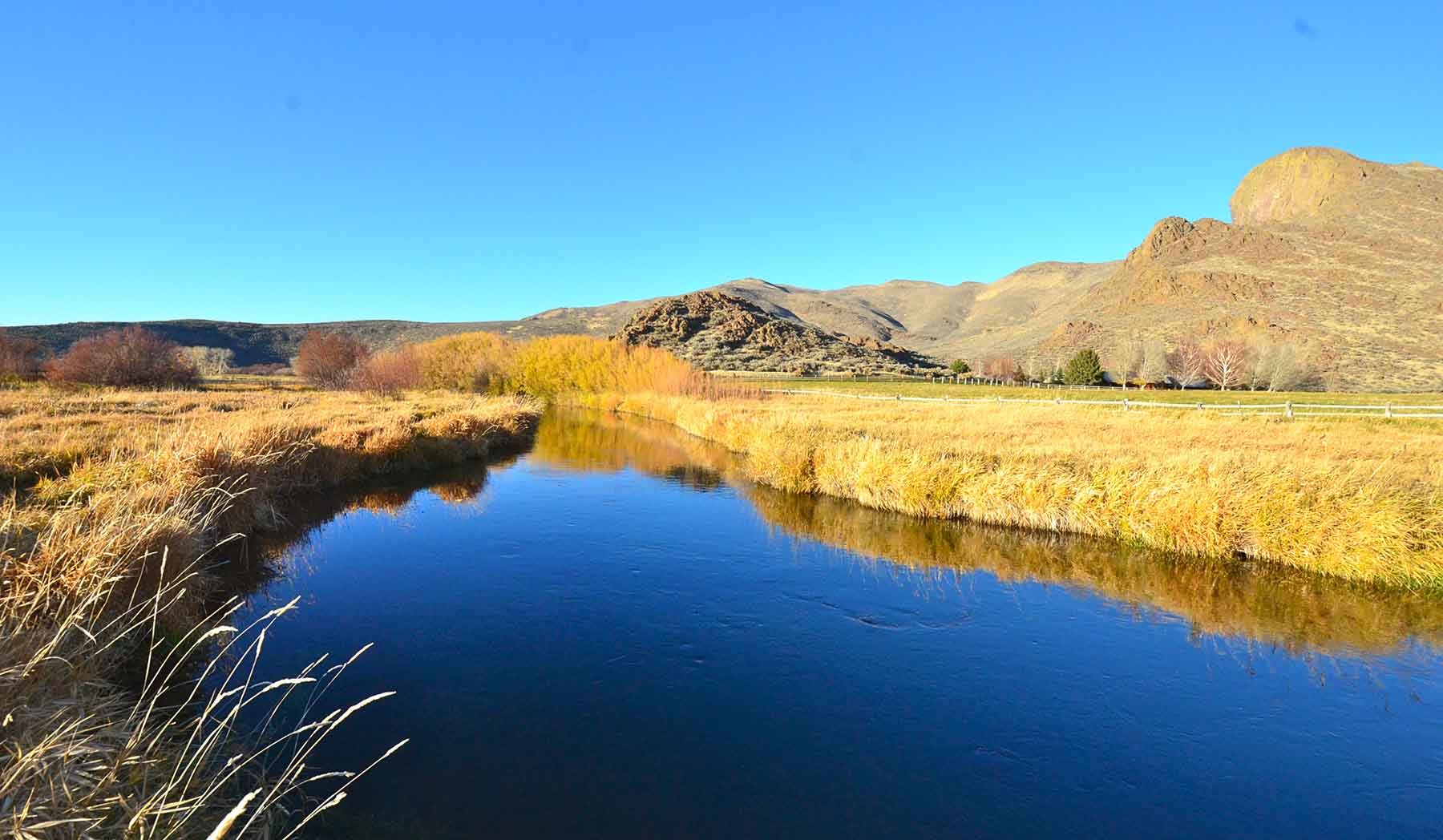 Susie Q Ranch property picture 73 of 83