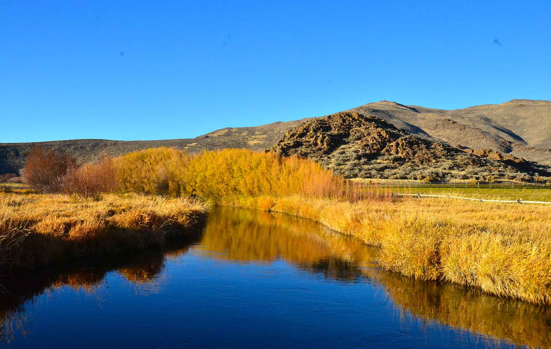 Susie Q Ranch property picture 74 of 83