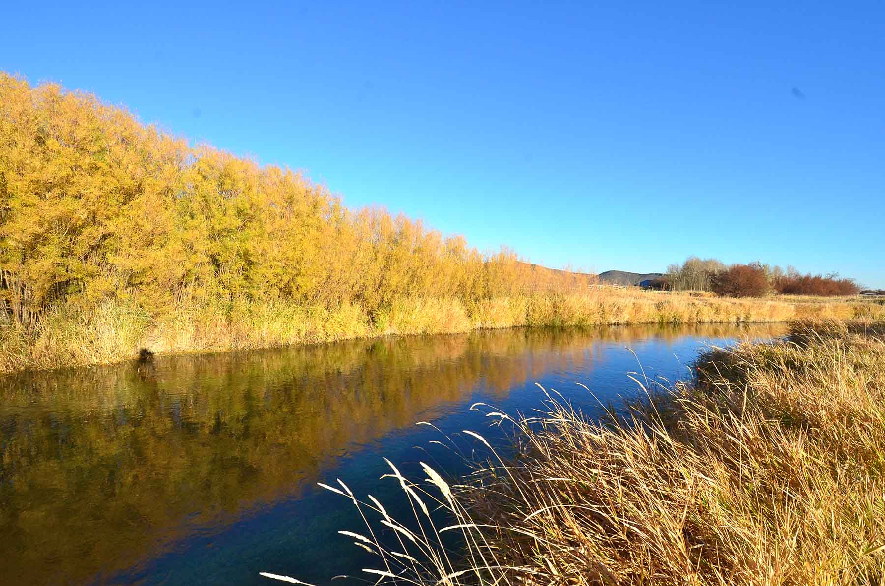 Susie Q Ranch property picture 76 of 83