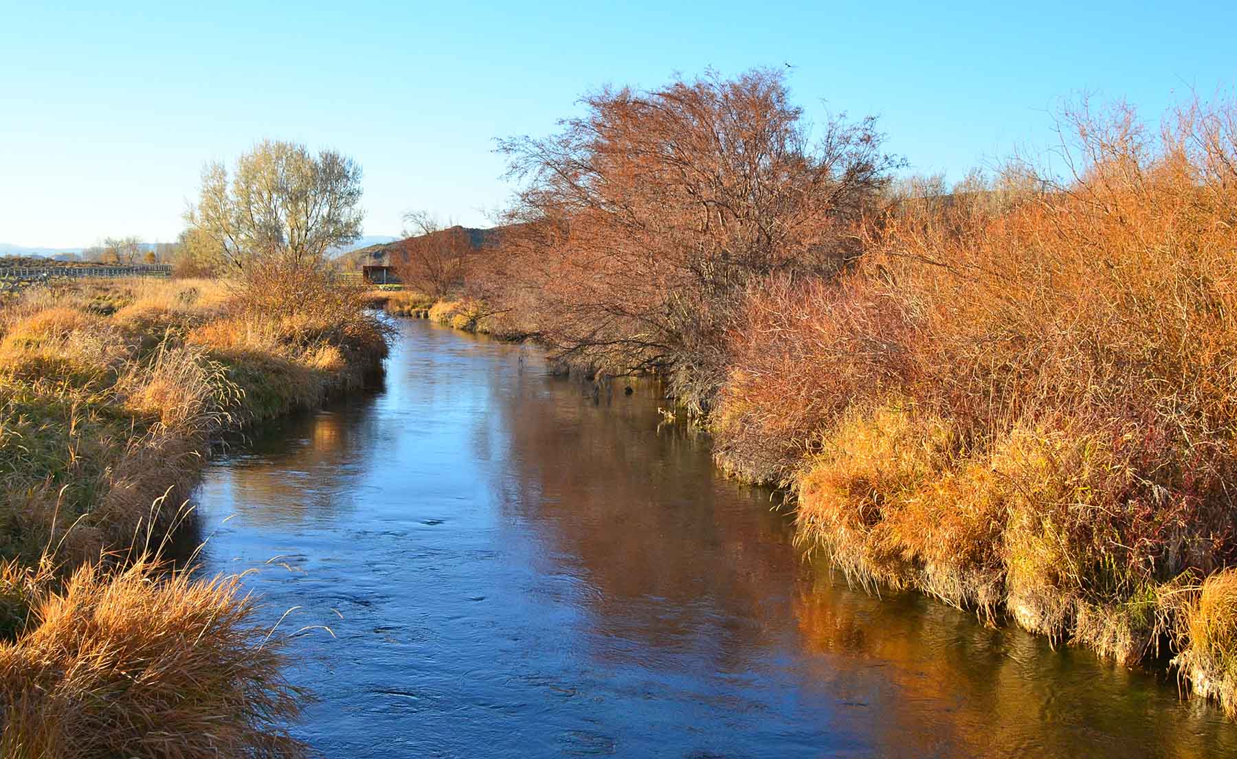Susie Q Ranch property picture 79 of 83
