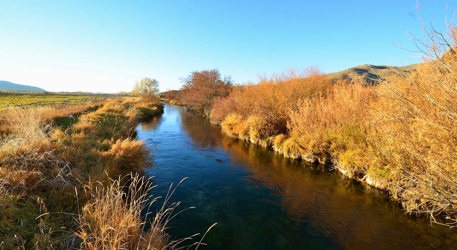 Susie Q Ranch property picture 80 of 83