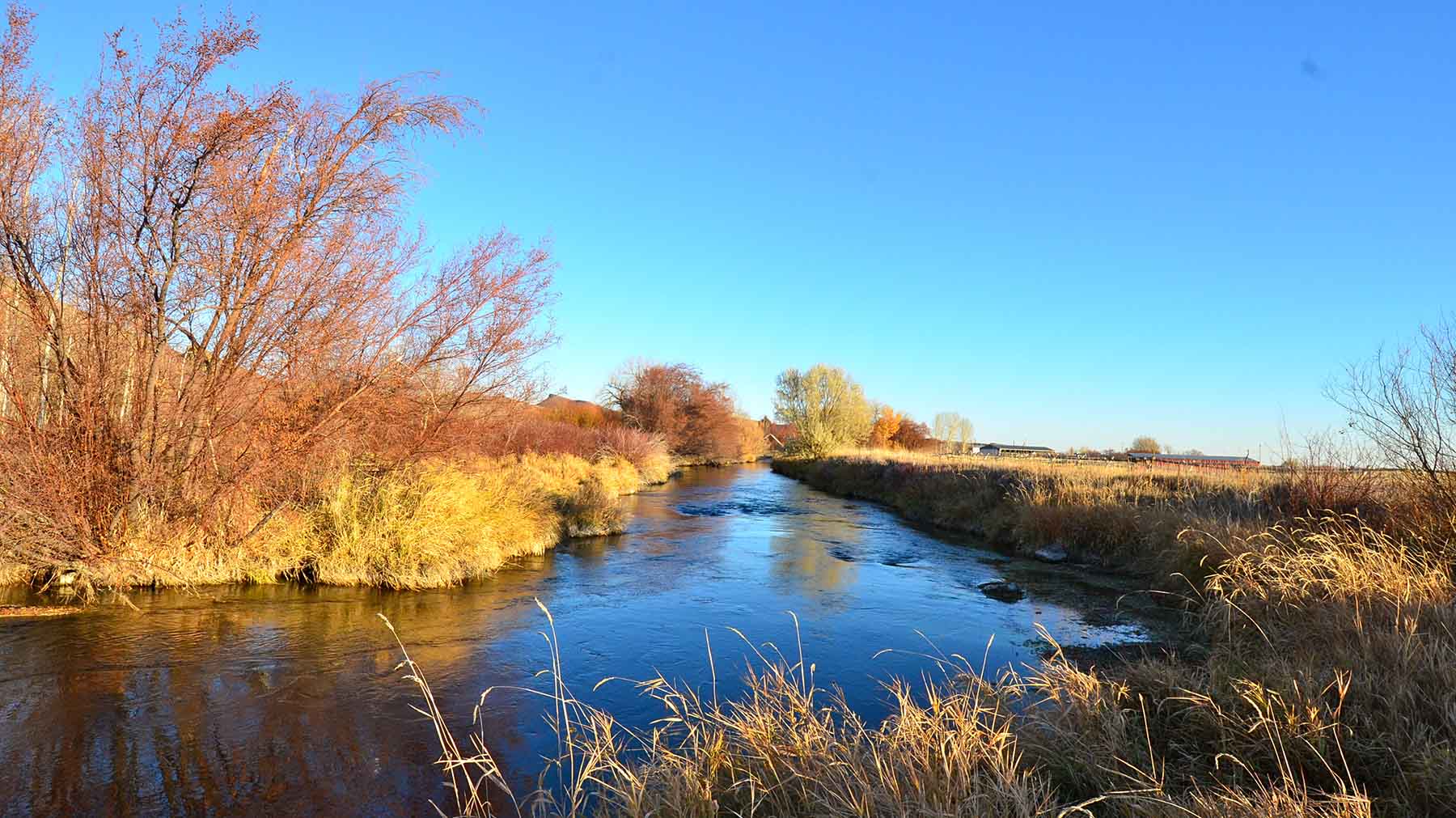 Susie Q Ranch property picture 81 of 83