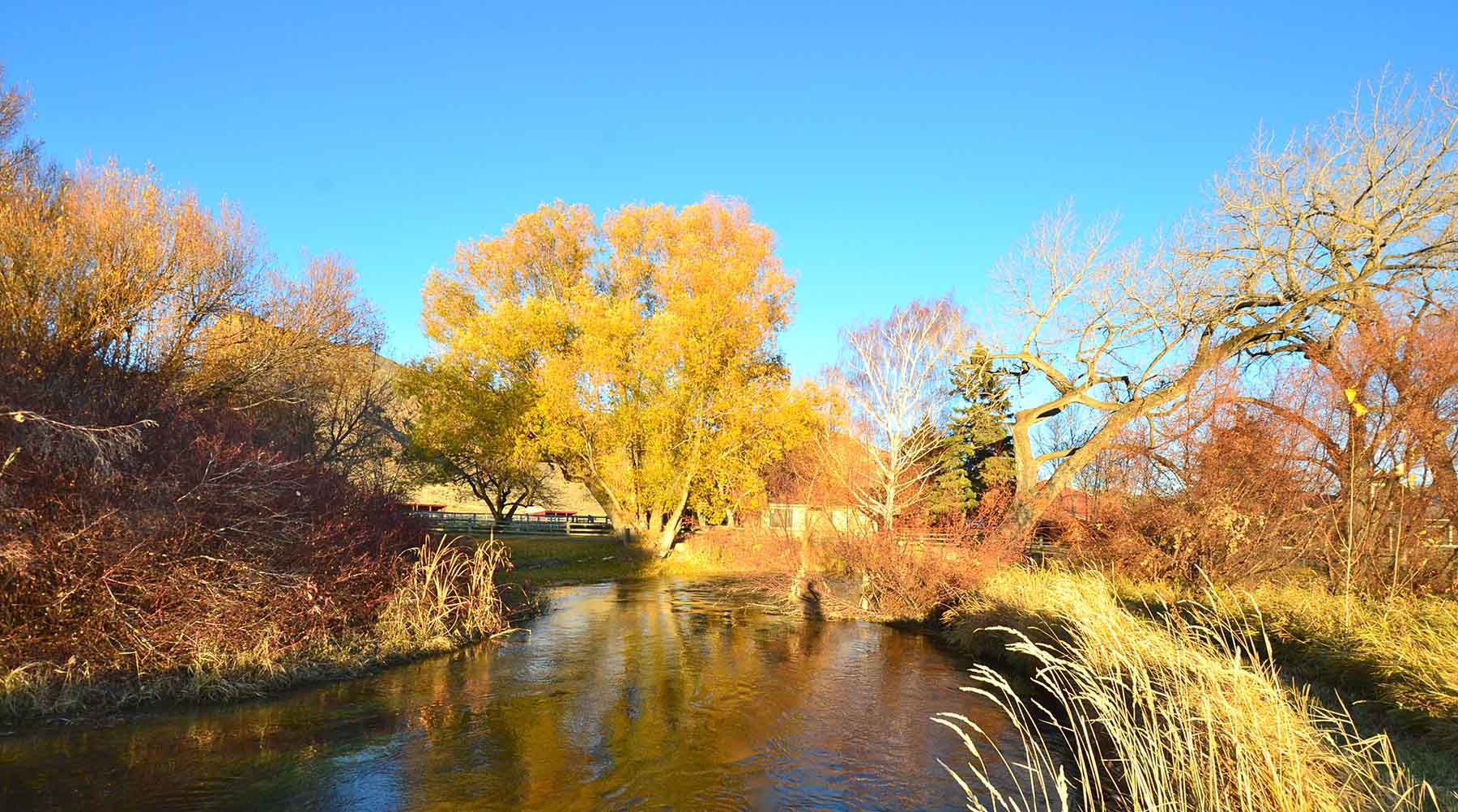 Susie Q Ranch property picture 83 of 83