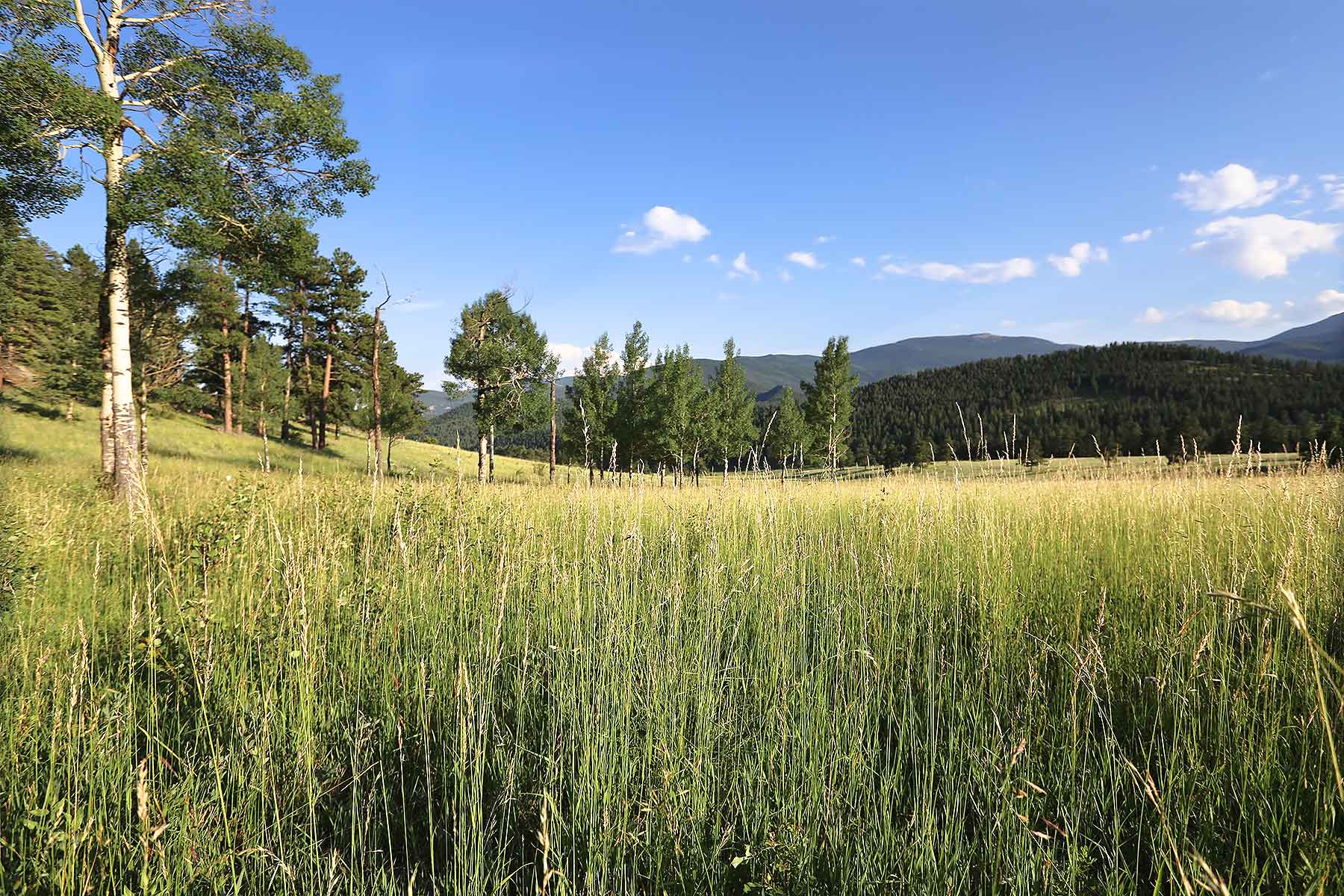 Corral Creek Ranch - CO property picture 3 of 58