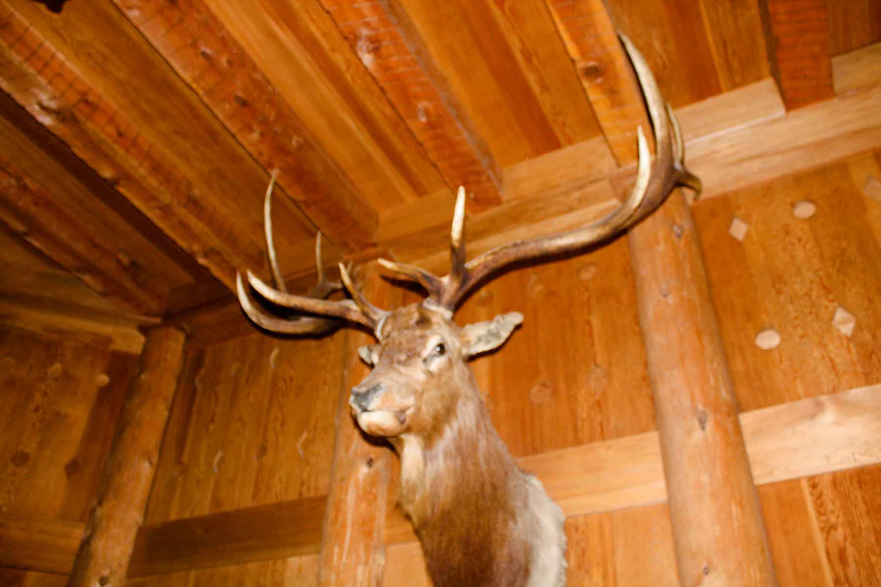 Corral Creek Ranch - CO property picture 15 of 58