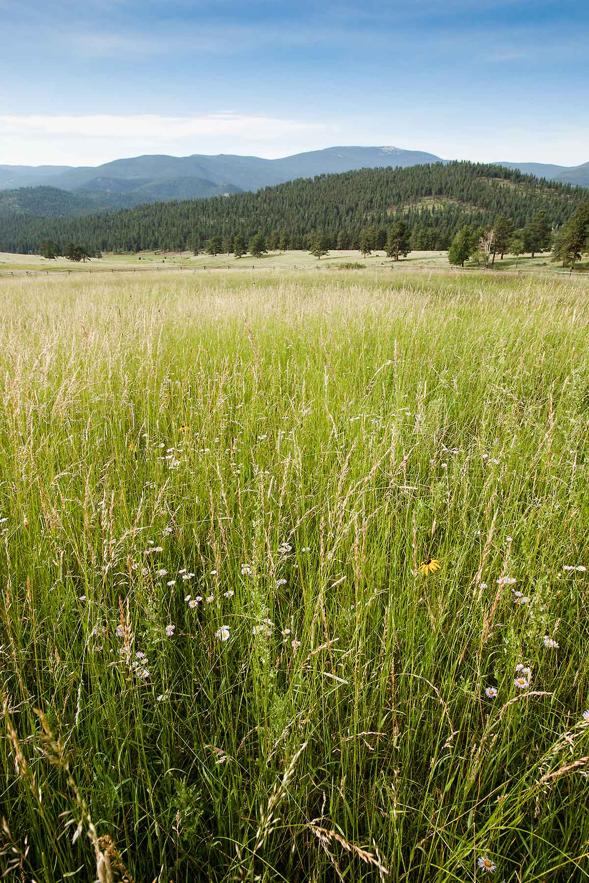 Corral Creek Ranch - CO property picture 39 of 58