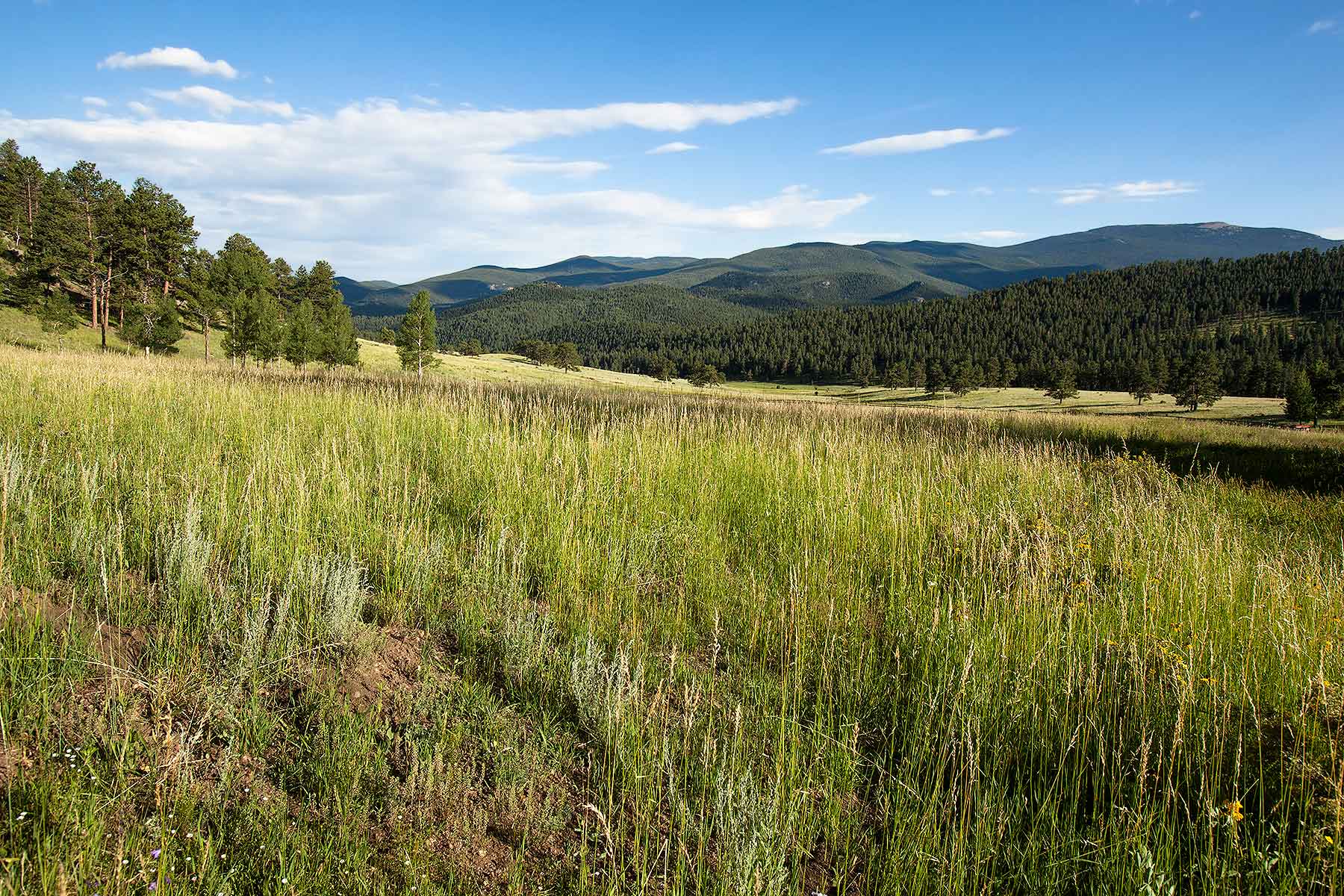 Corral Creek Ranch - CO property picture 45 of 58
