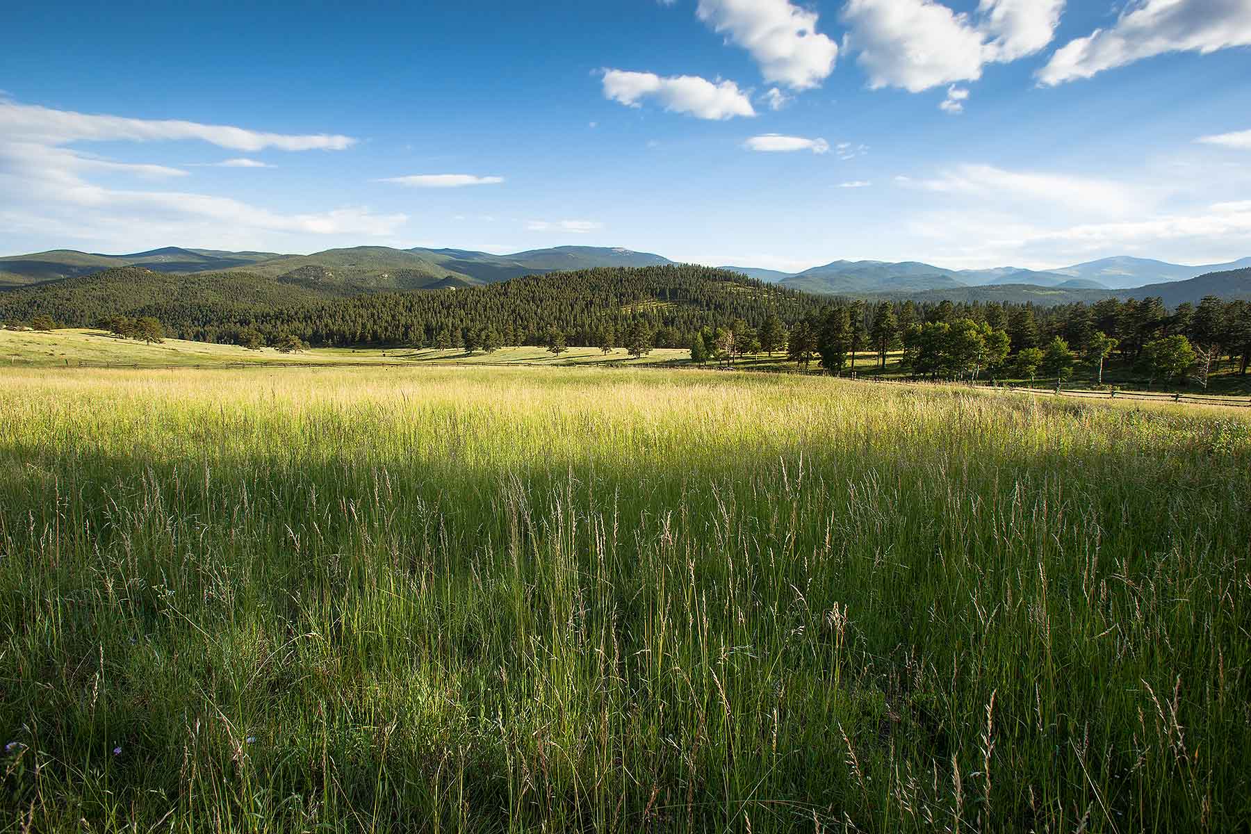 Corral Creek Ranch - CO property picture 46 of 58