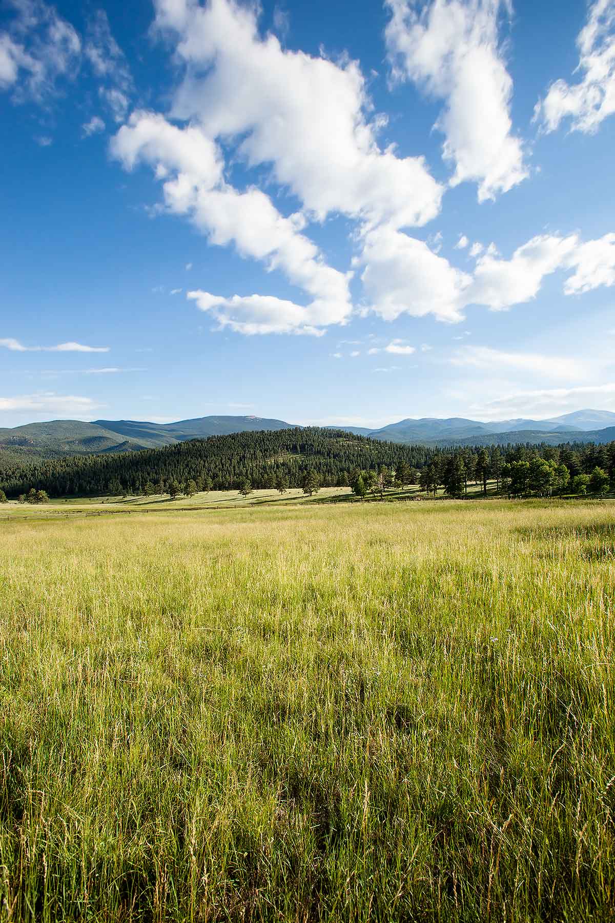 Corral Creek Ranch - CO property picture 48 of 58
