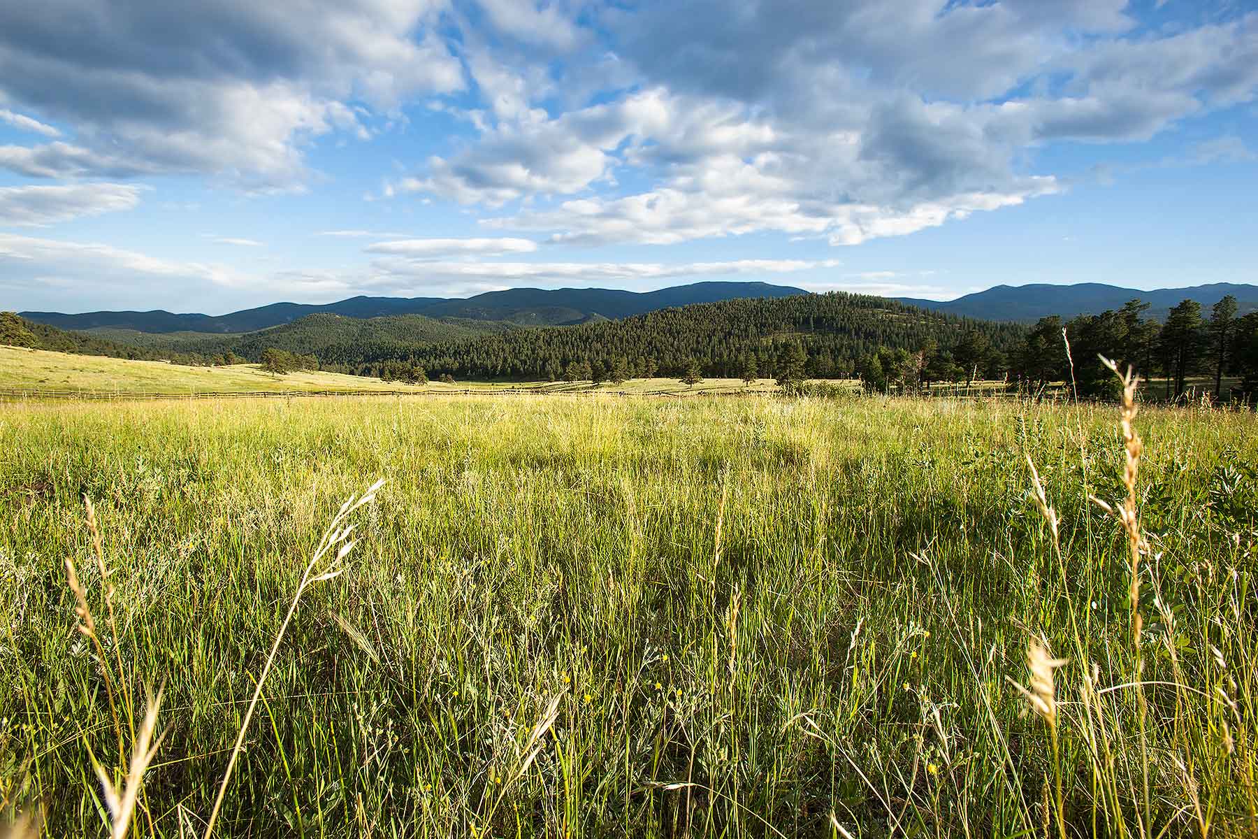 Corral Creek Ranch - CO property picture 52 of 58