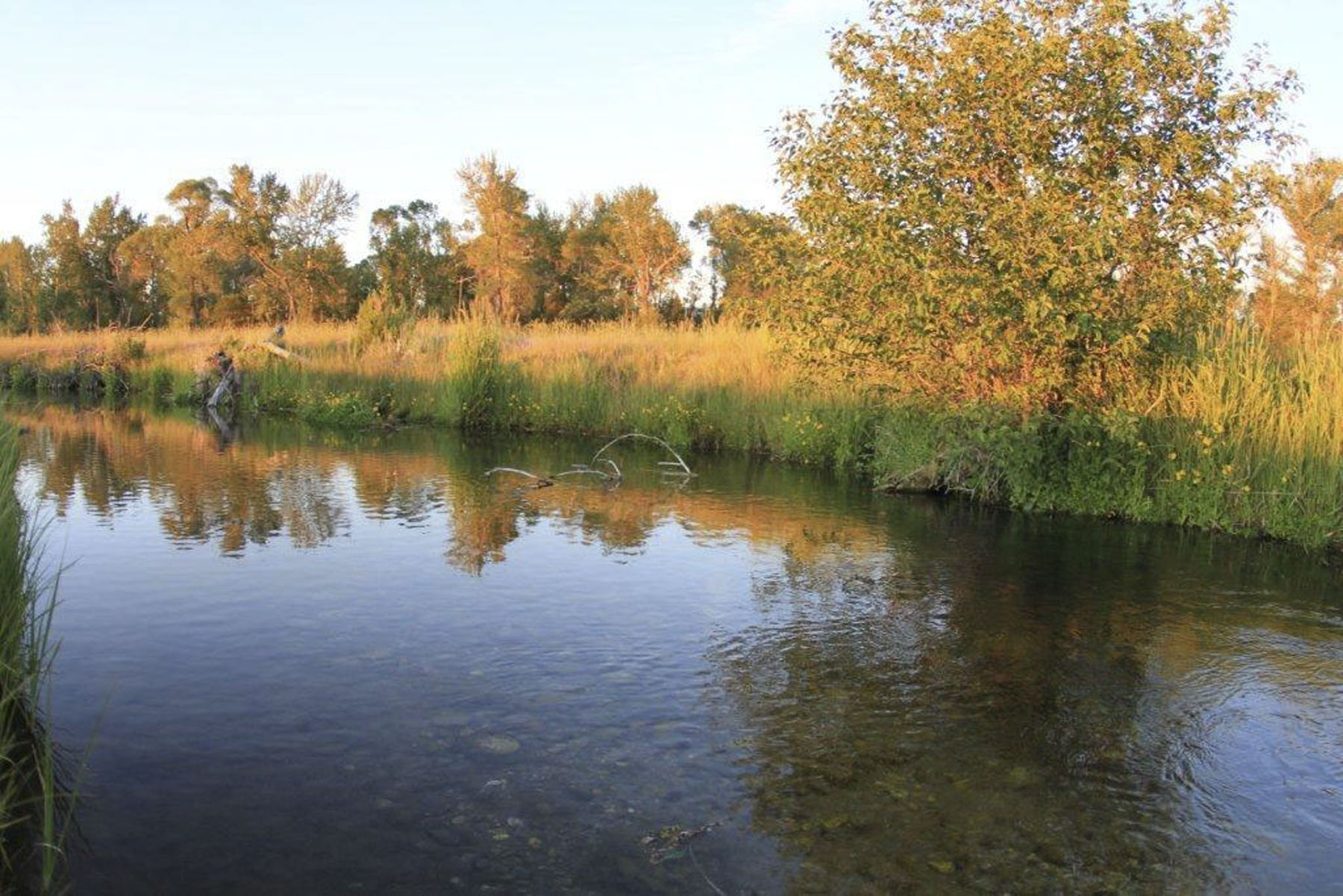 Circle B Spring Creek Ranch property picture 8 of 10