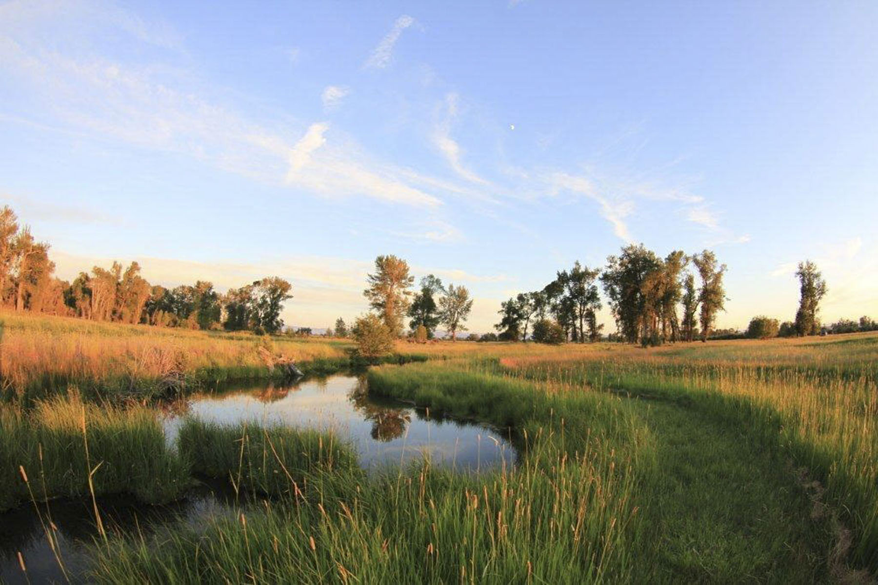 Circle B Spring Creek Ranch property picture 6 of 10