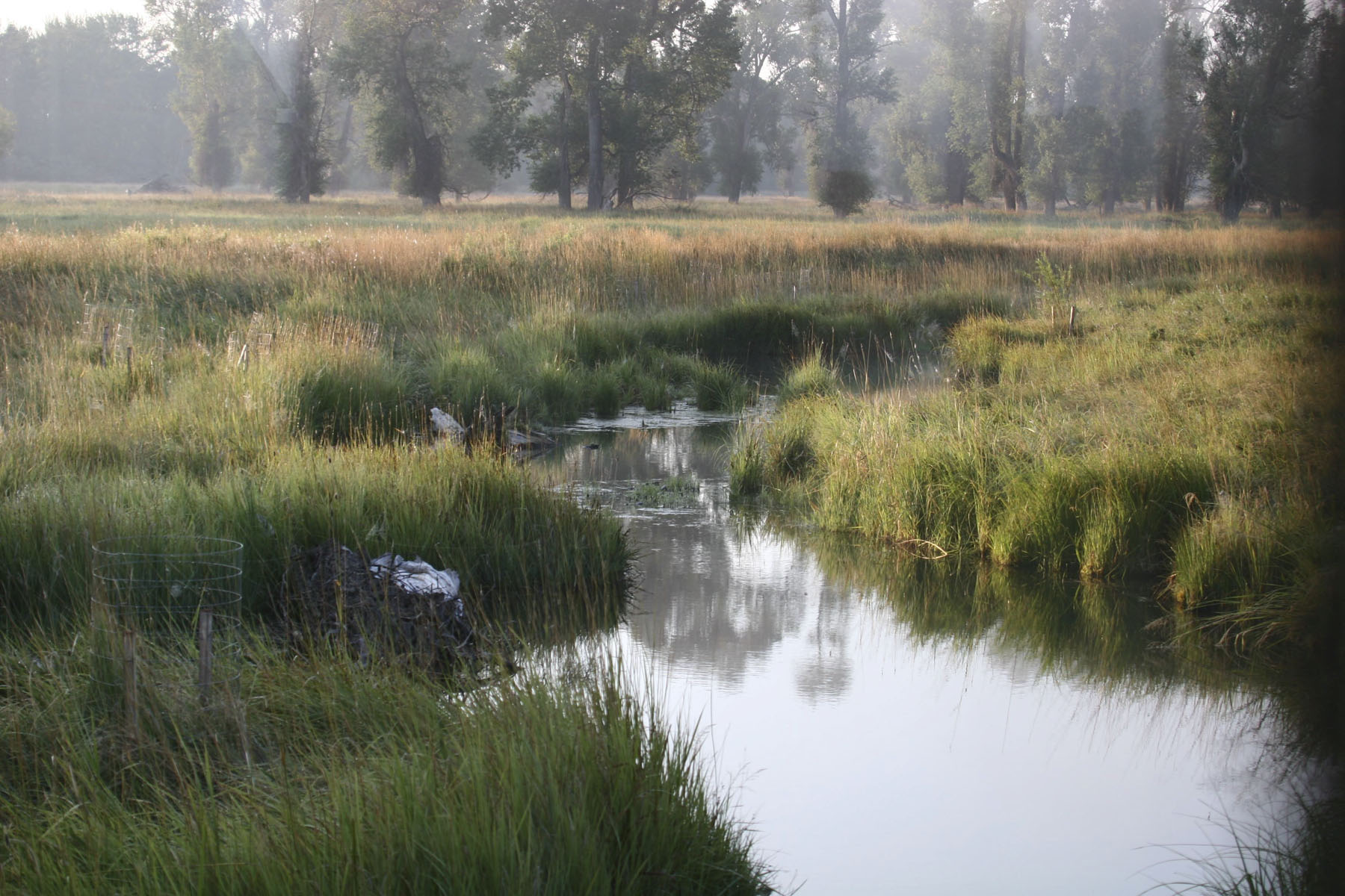 Circle B Spring Creek Ranch property picture 1 of 10