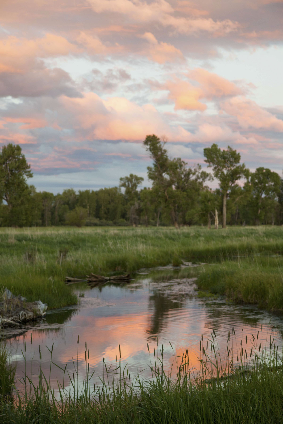 Circle B Spring Creek Ranch property picture 2 of 10