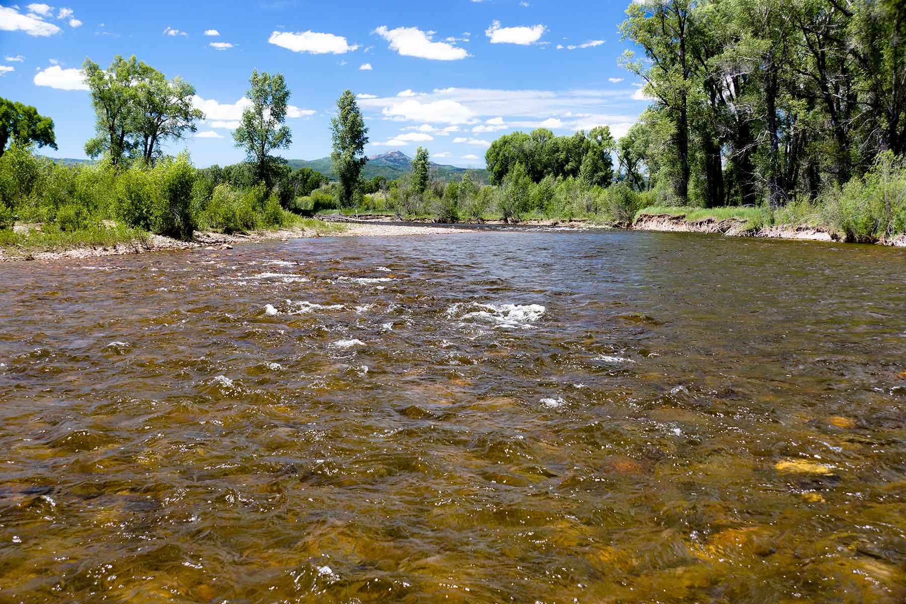 Elk River Ranch property picture 9 of 81