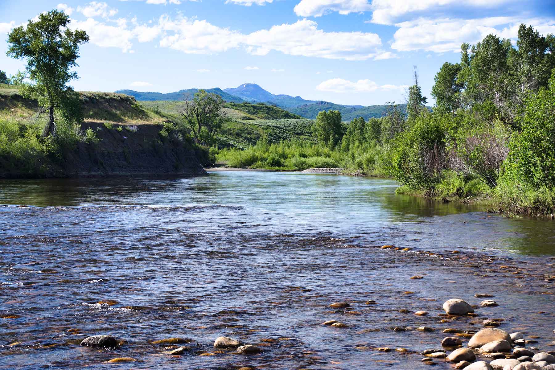 Elk River Ranch property picture 54 of 81