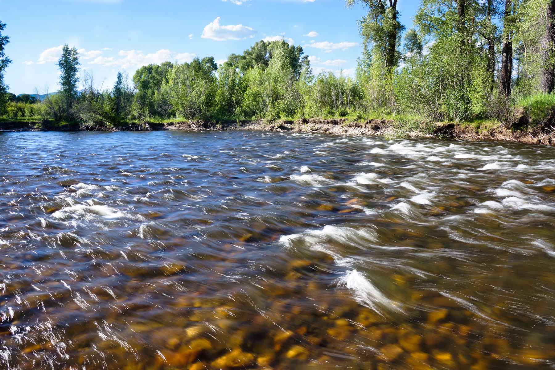 Elk River Ranch property picture 11 of 81