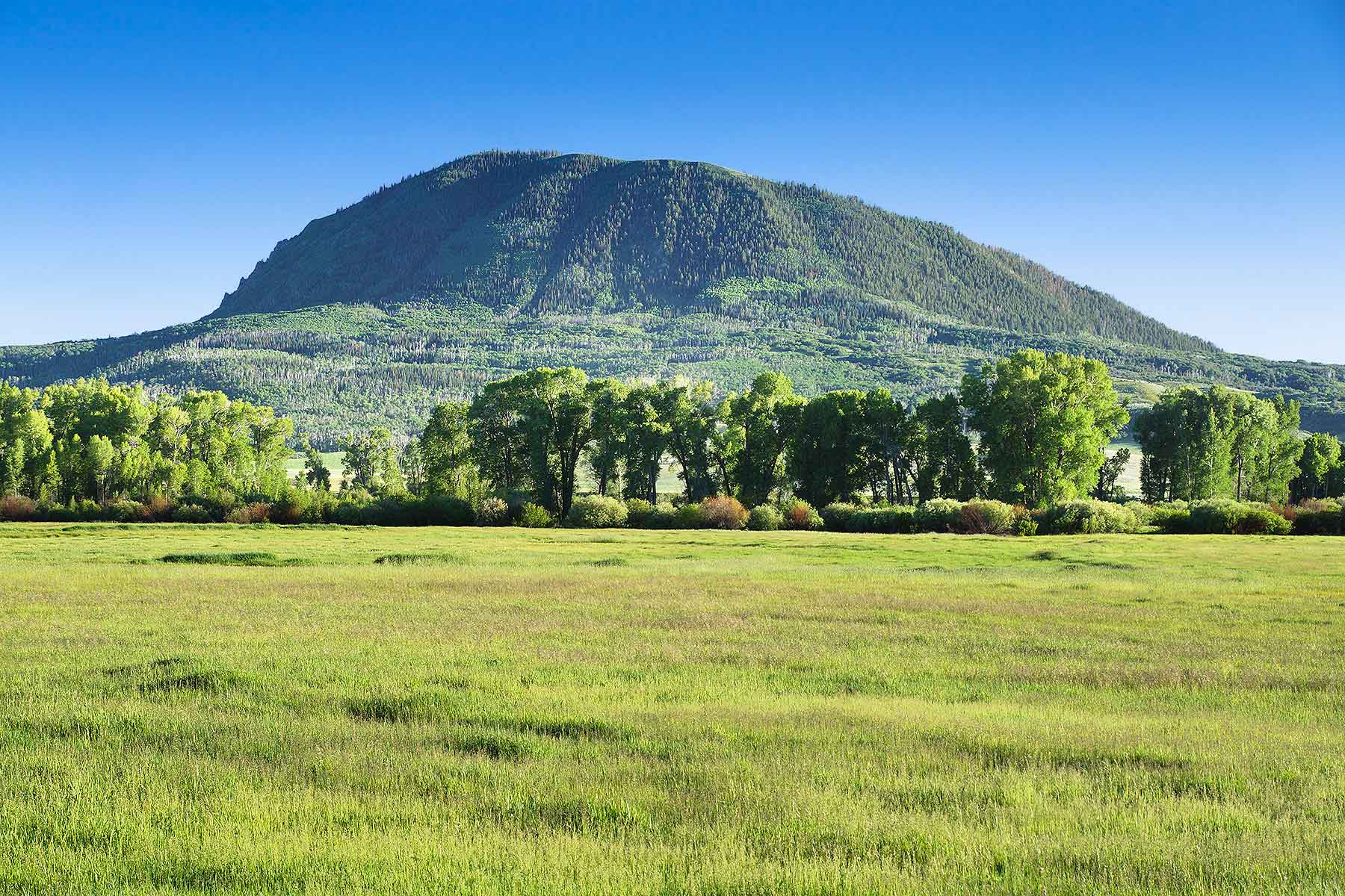 Elk River Ranch property picture 23 of 81
