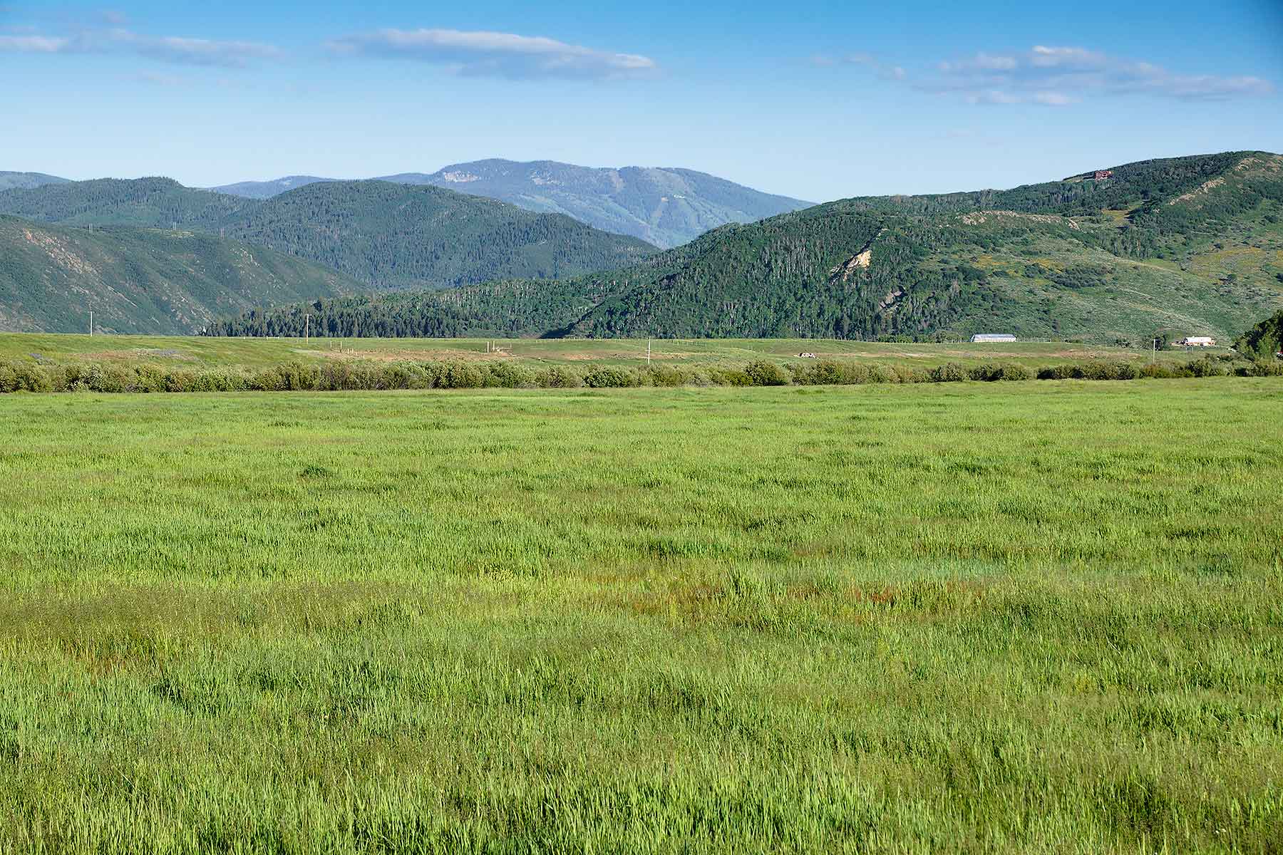 Elk River Ranch property picture 33 of 81