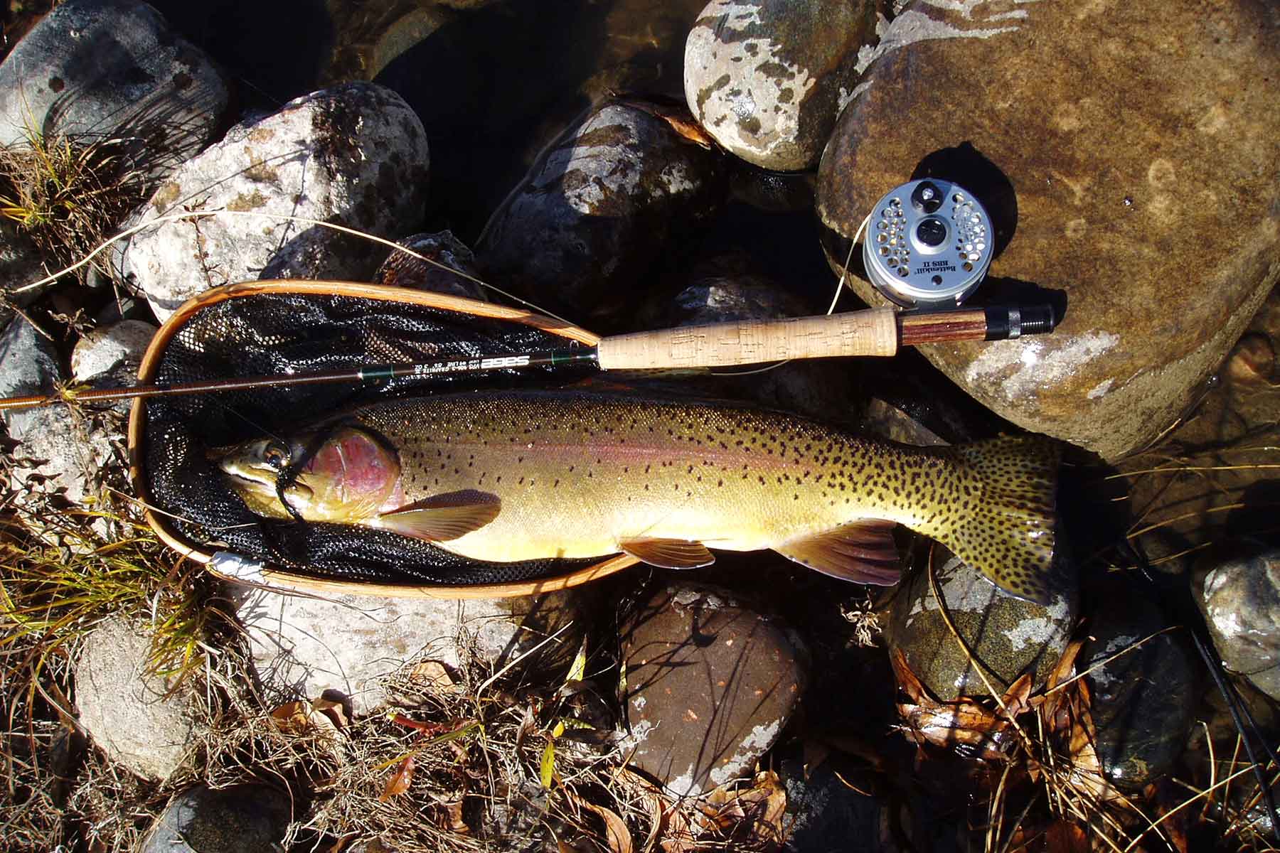 Elk River Ranch property picture 44 of 81