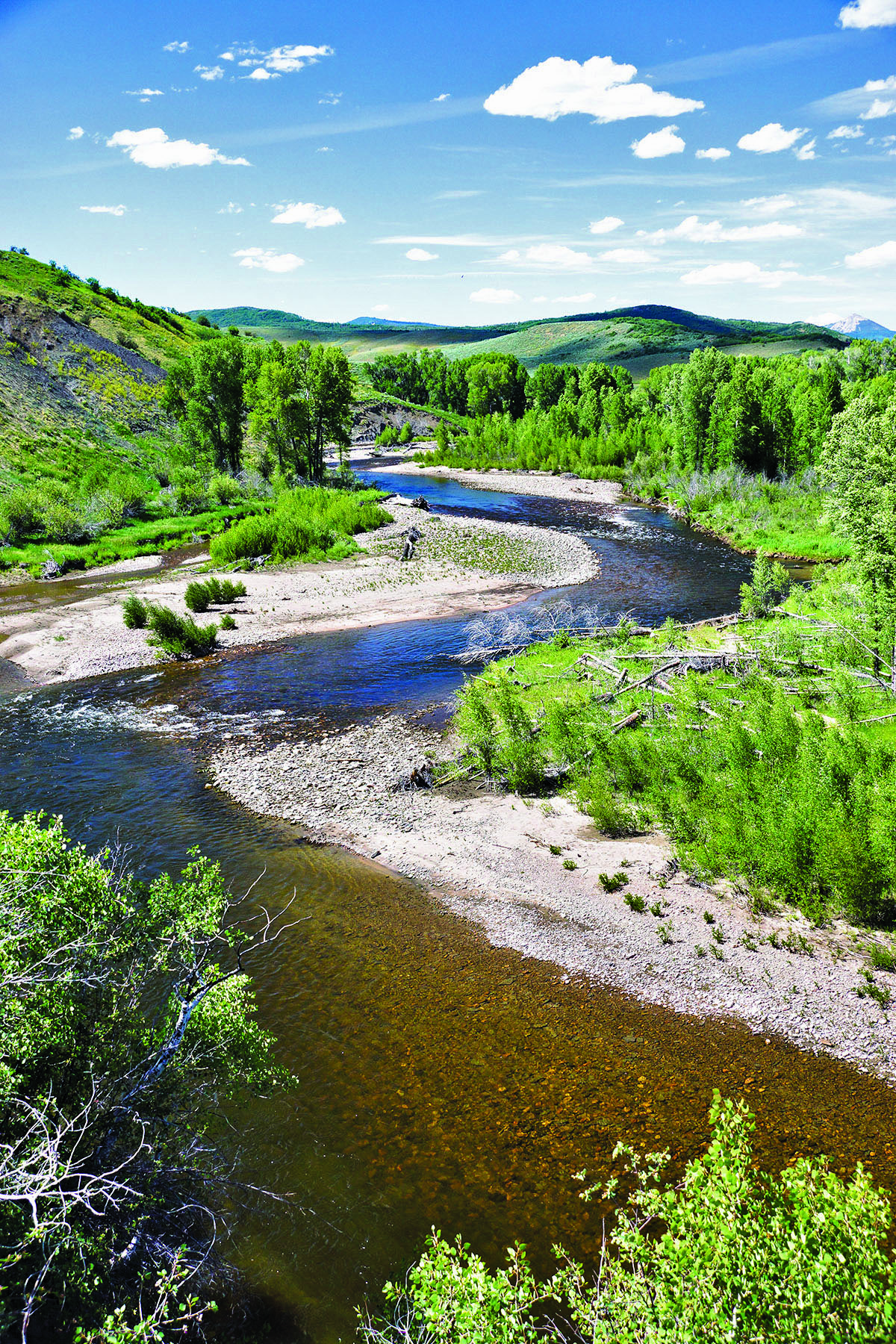 Elk River Ranch property picture 63 of 81