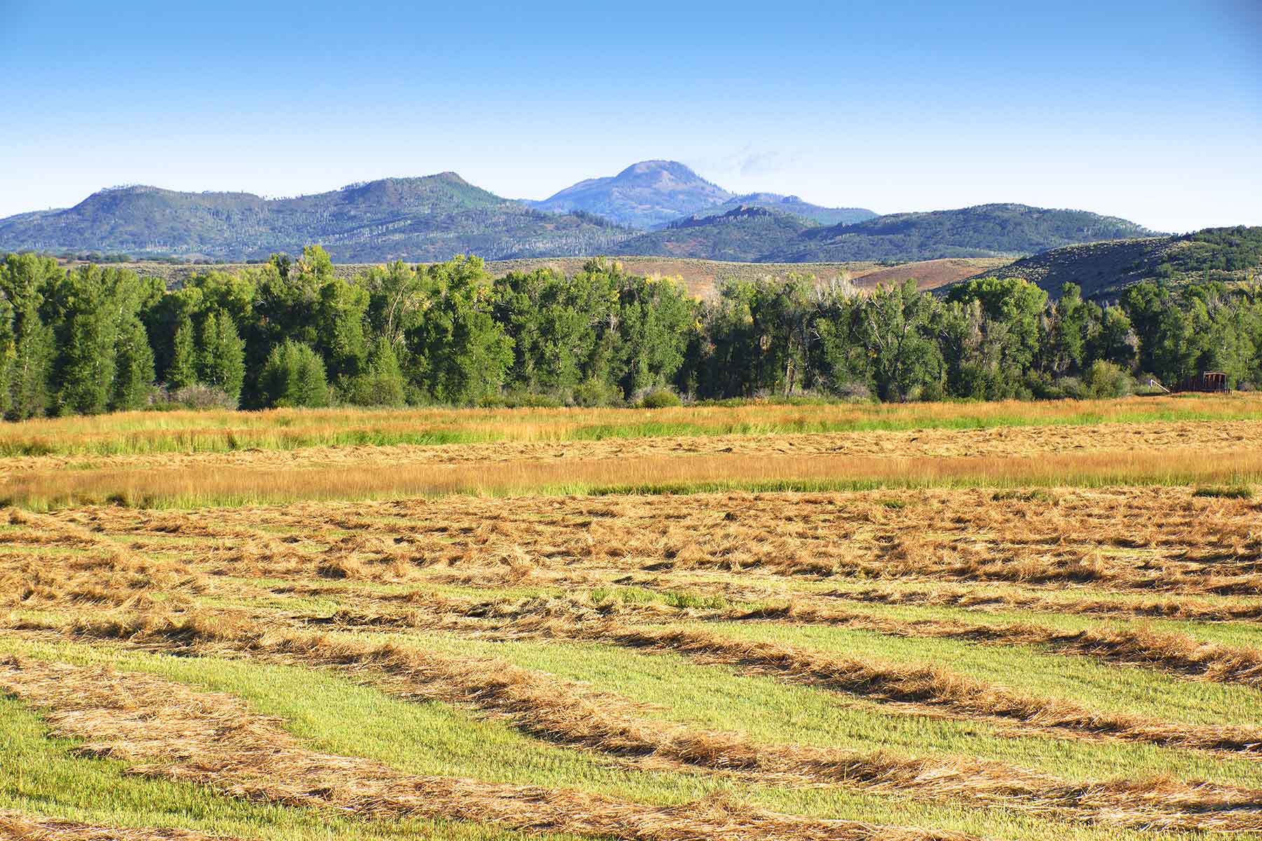 Elk River Ranch property picture 28 of 81