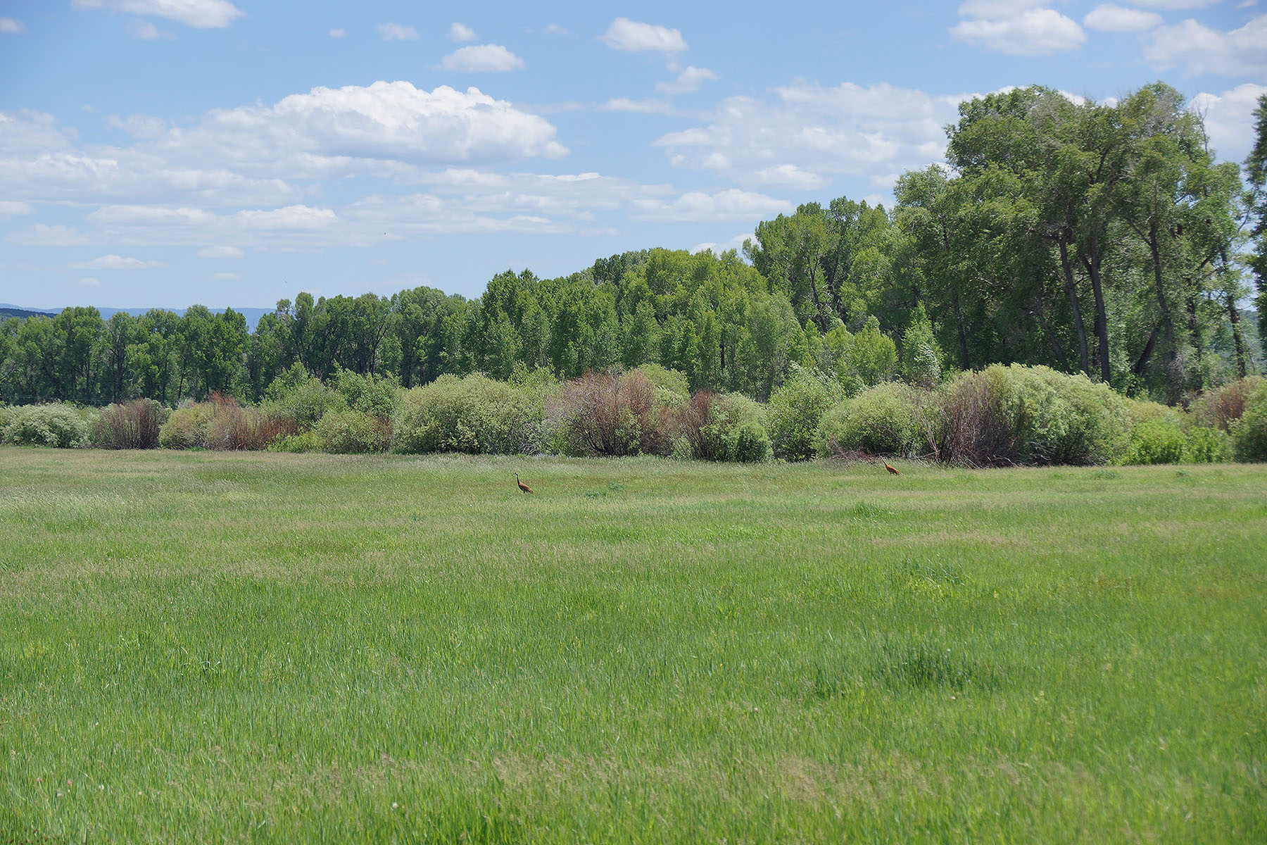 Elk River Ranch property picture 58 of 81