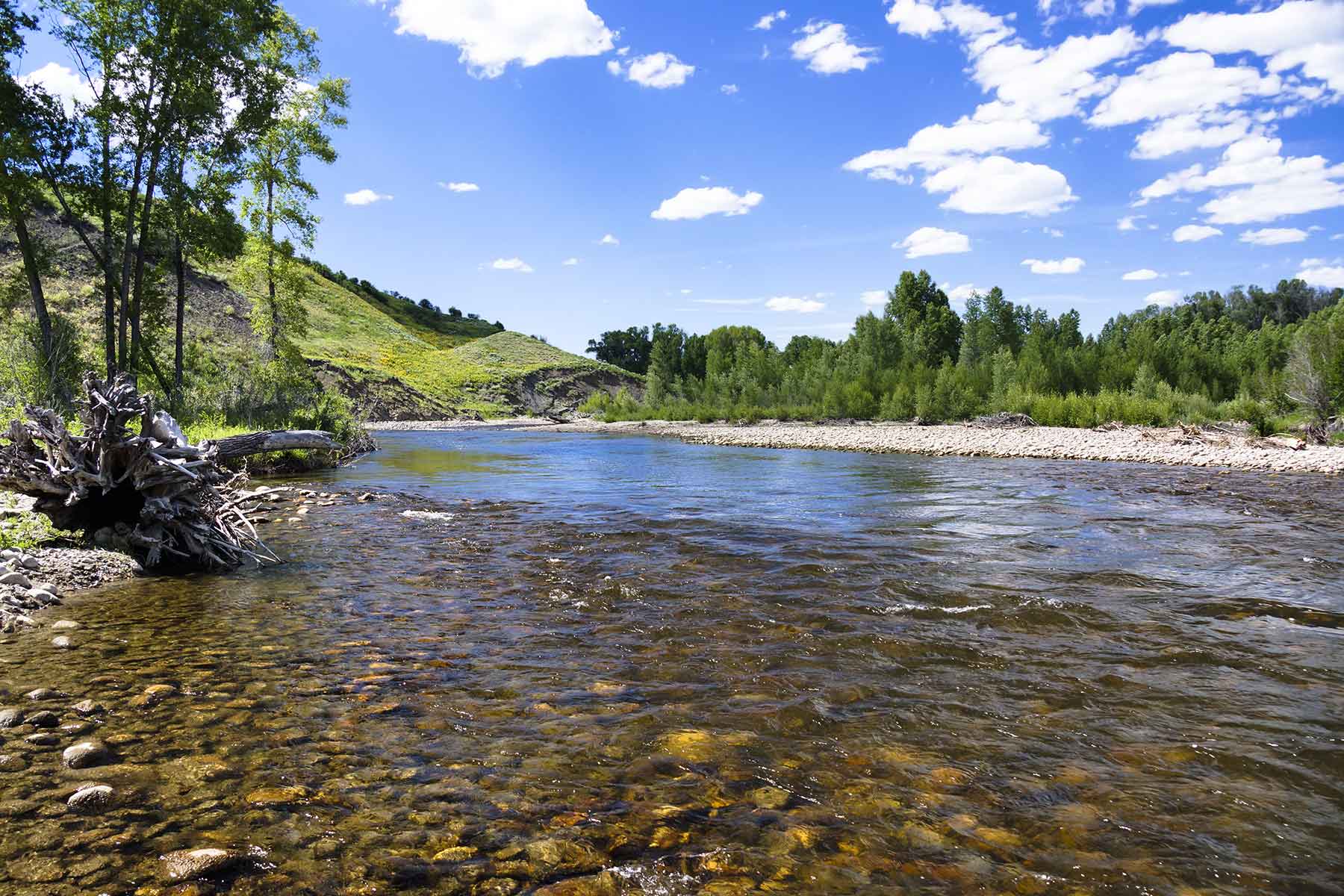 Elk River Ranch property picture 52 of 81