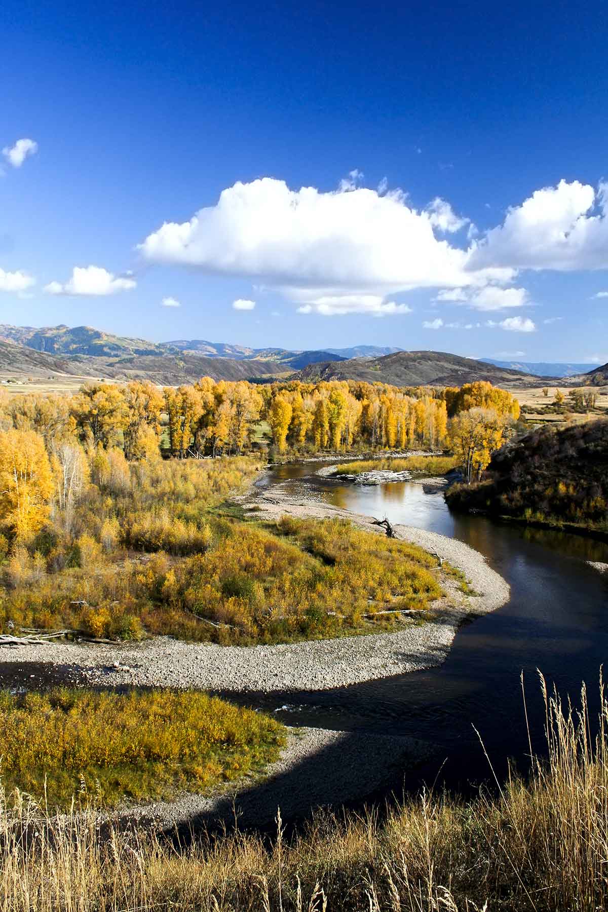 Elk River Ranch property picture 41 of 81