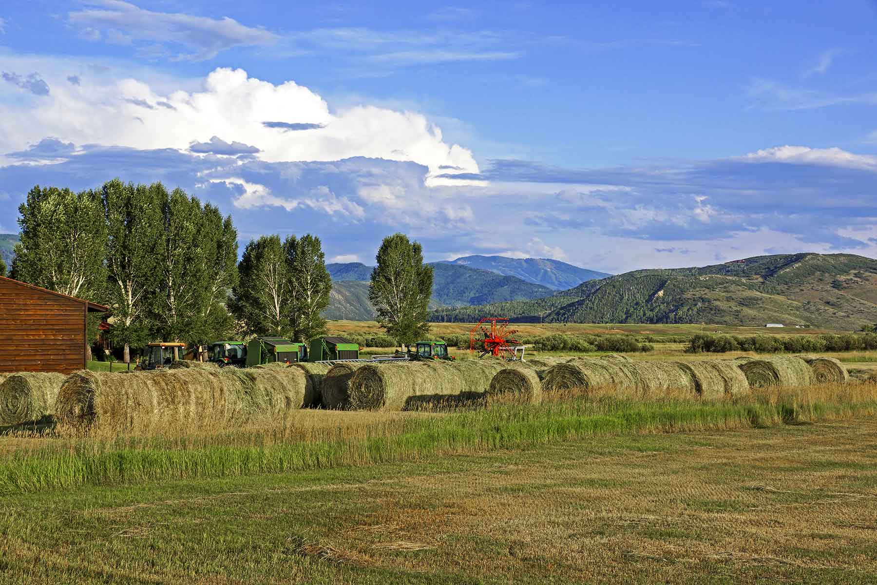 Elk River Ranch property picture 39 of 81