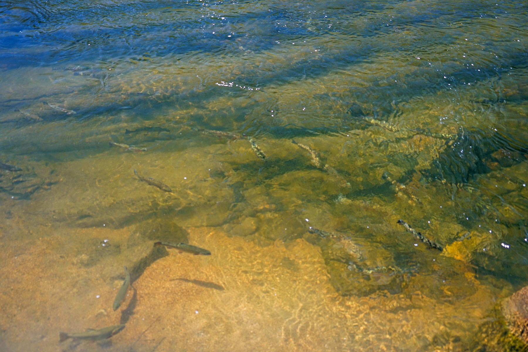 Elk River Ranch property picture 21 of 81