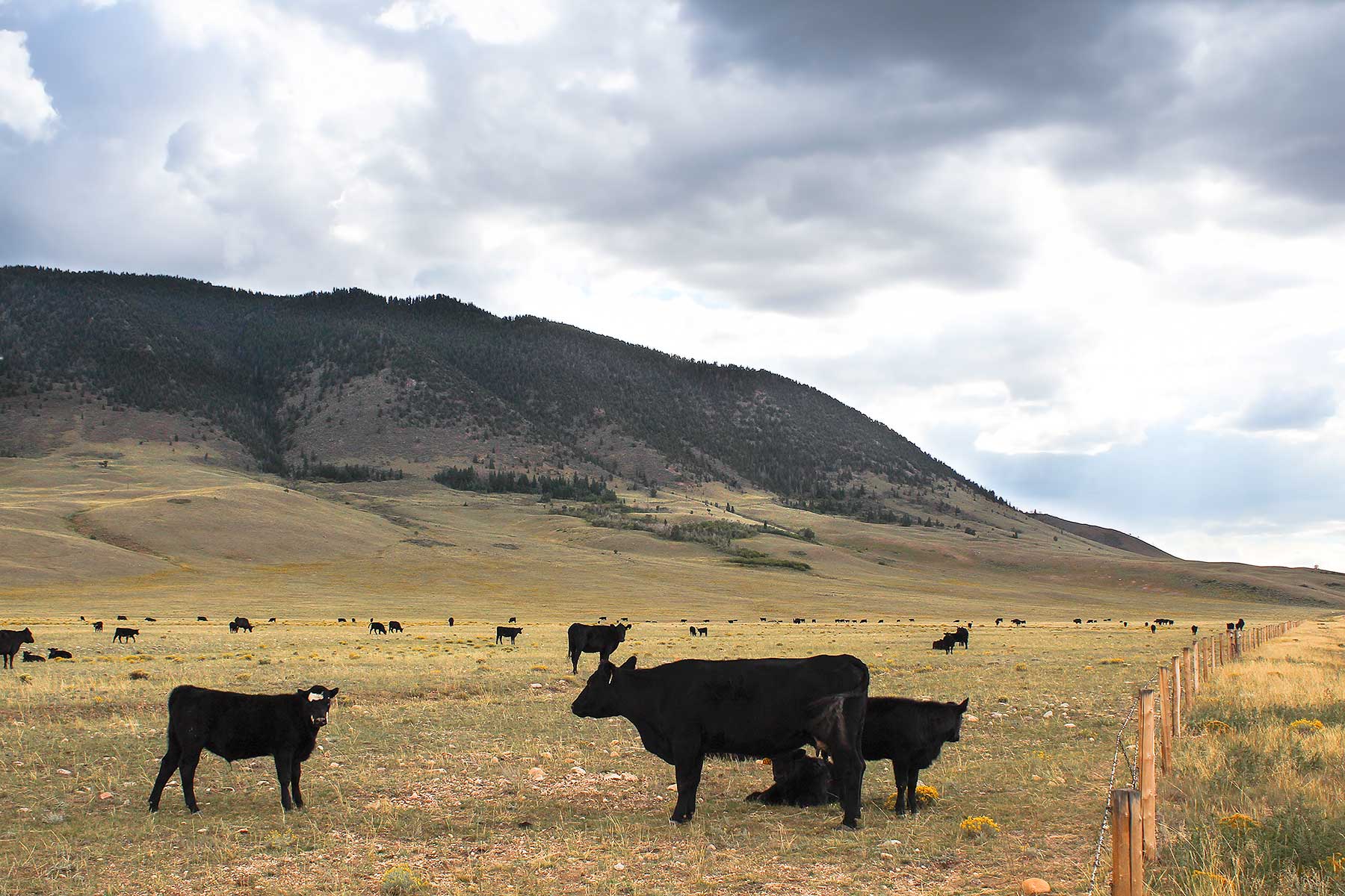 Bow Fiddle Ranch property picture 4 of 4